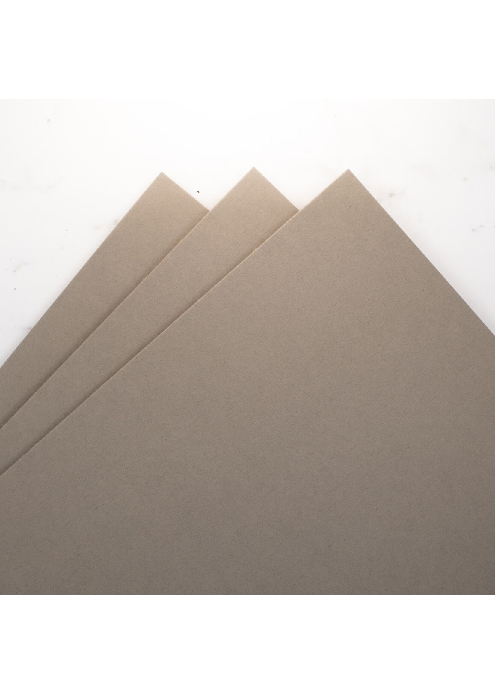 Prism Studio Prism 8.5x11 Cardstock 92 lb, Silverleaf Willow (10)