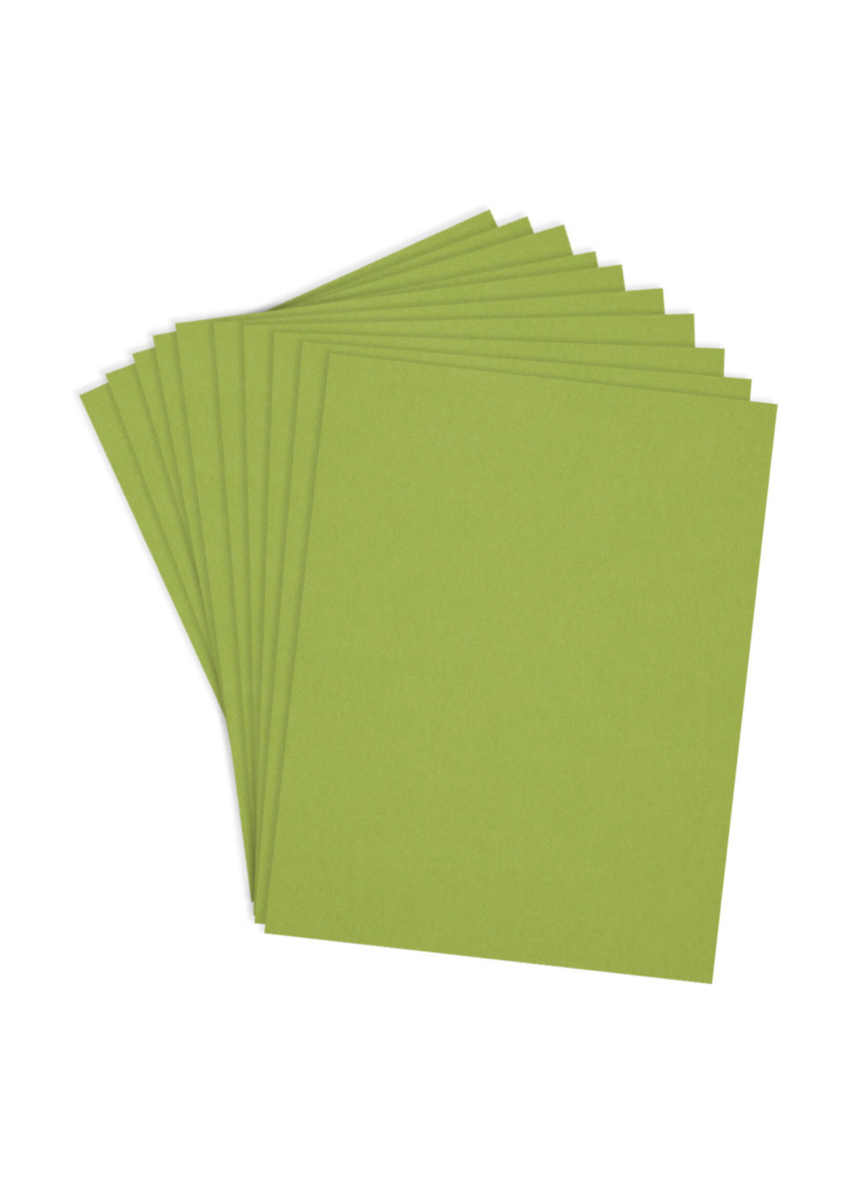 Spellbinders ColorWheel Cardstock 8.5x11, Rainforest (10)