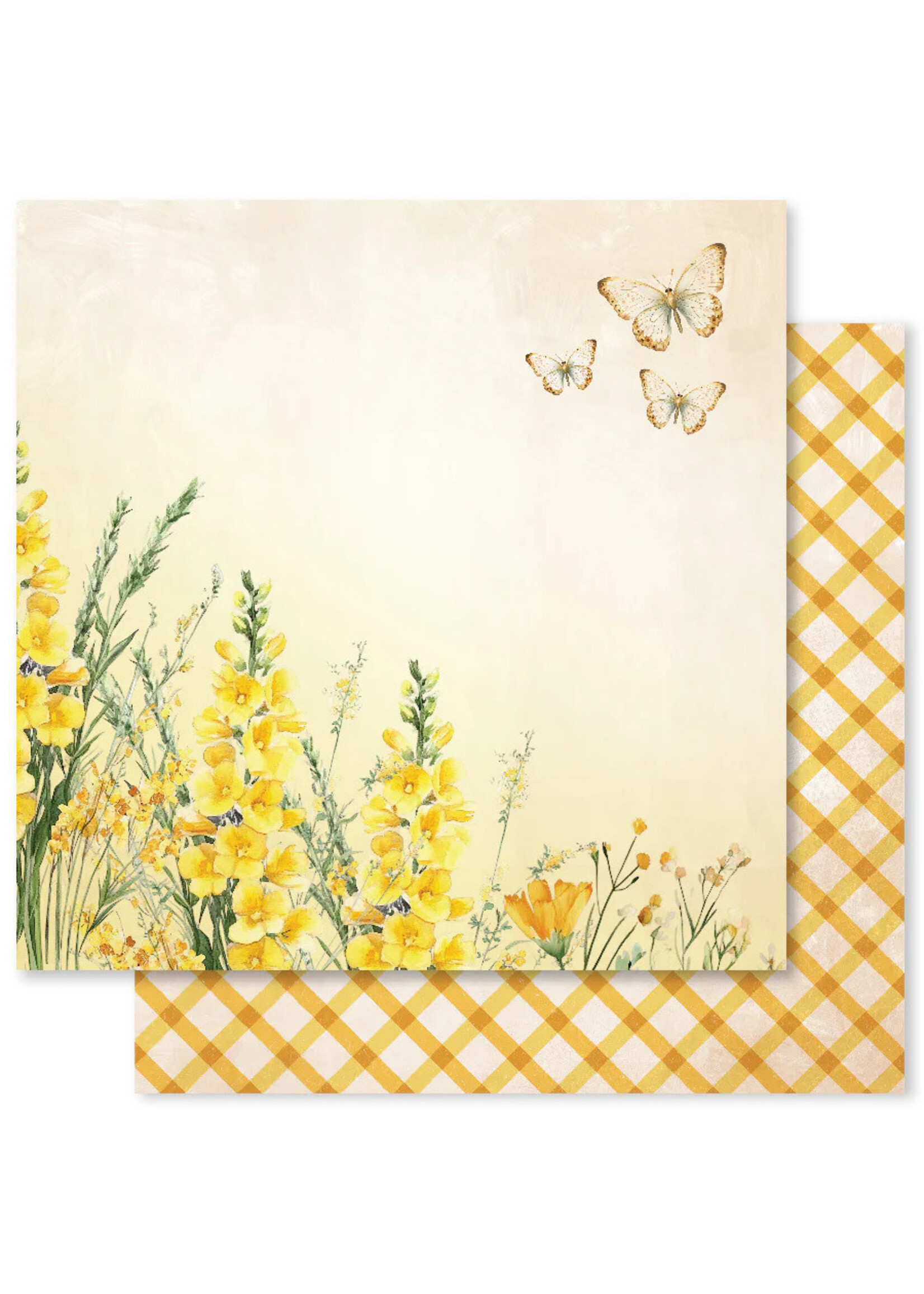 Paper Rose PR 12x12 Bees & Butterflies, D