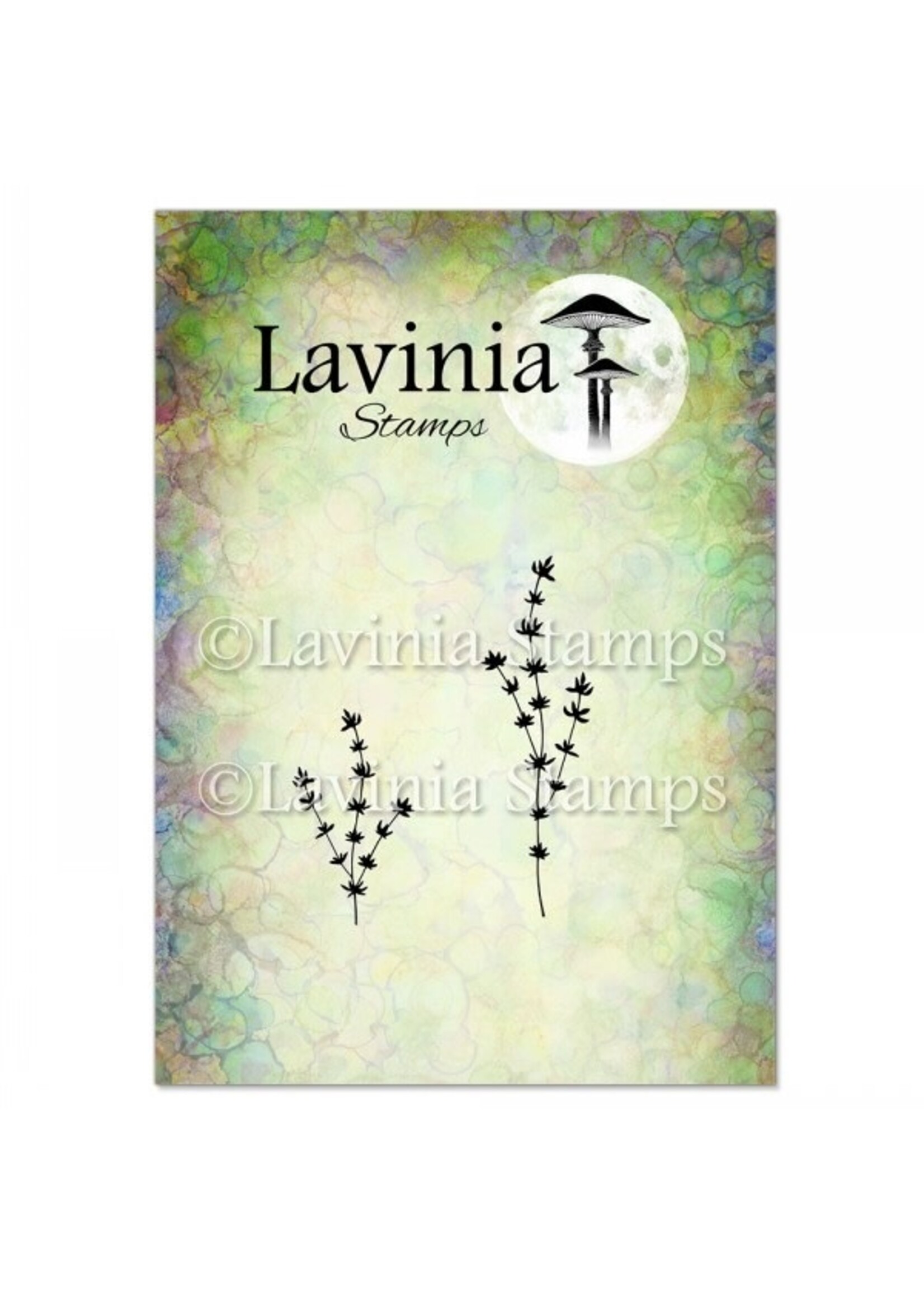 Lavinia Lavinia Stamp, Thyme