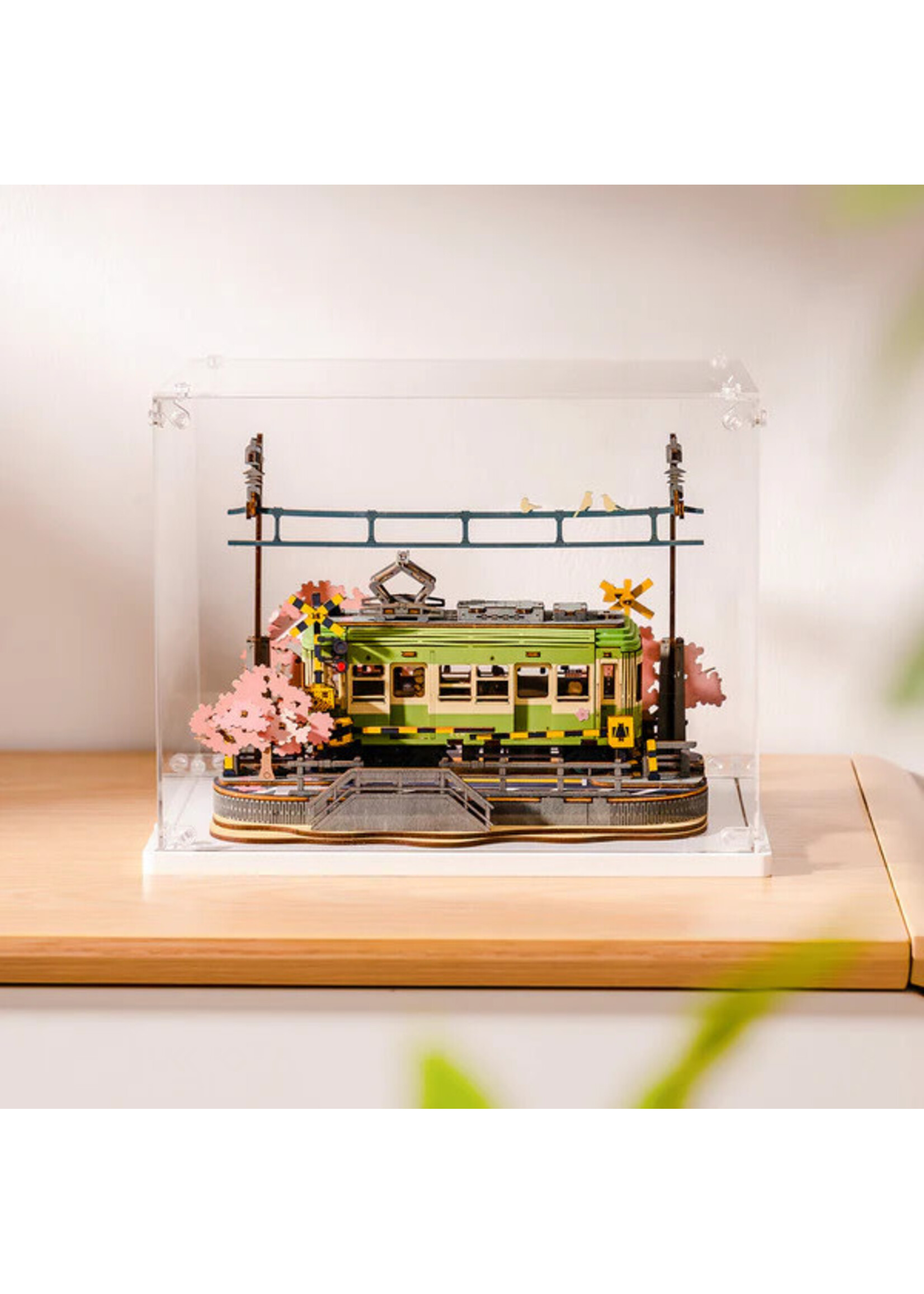 Rolife Rolife Creation Set Display Box