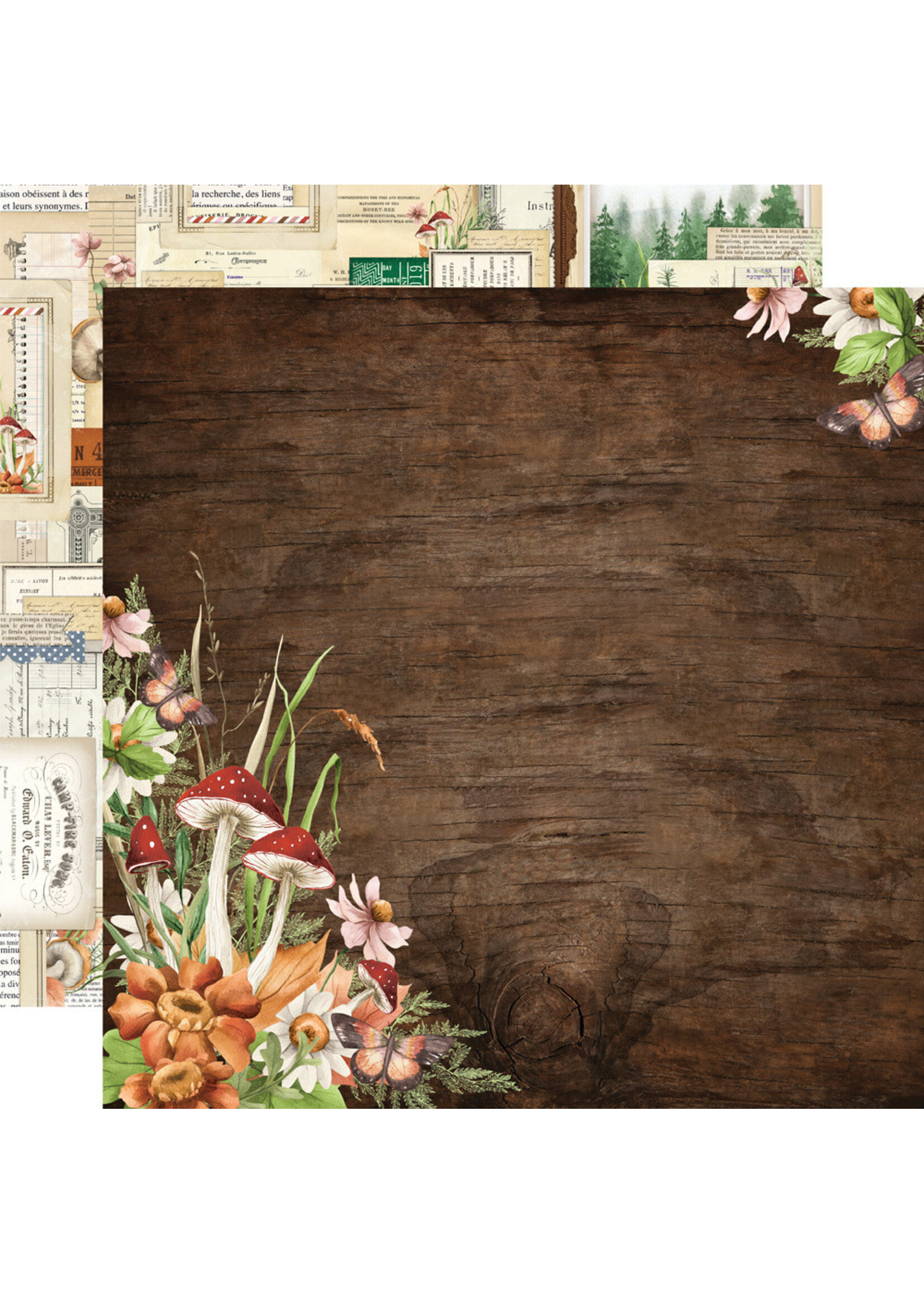 Simple Stories 12x12 Simple Vintage Woodlands, View From Here
