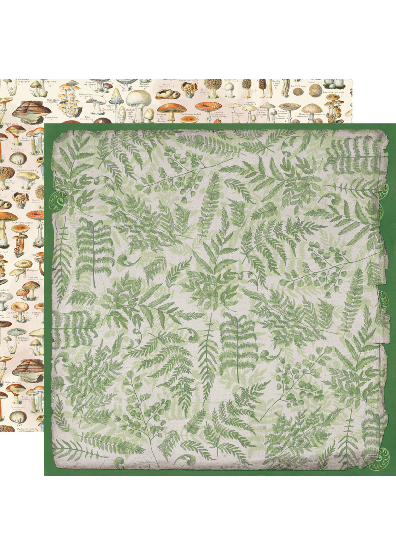 Simple Stories 12x12 Simple Vintage Woodlands, Get Outdoors