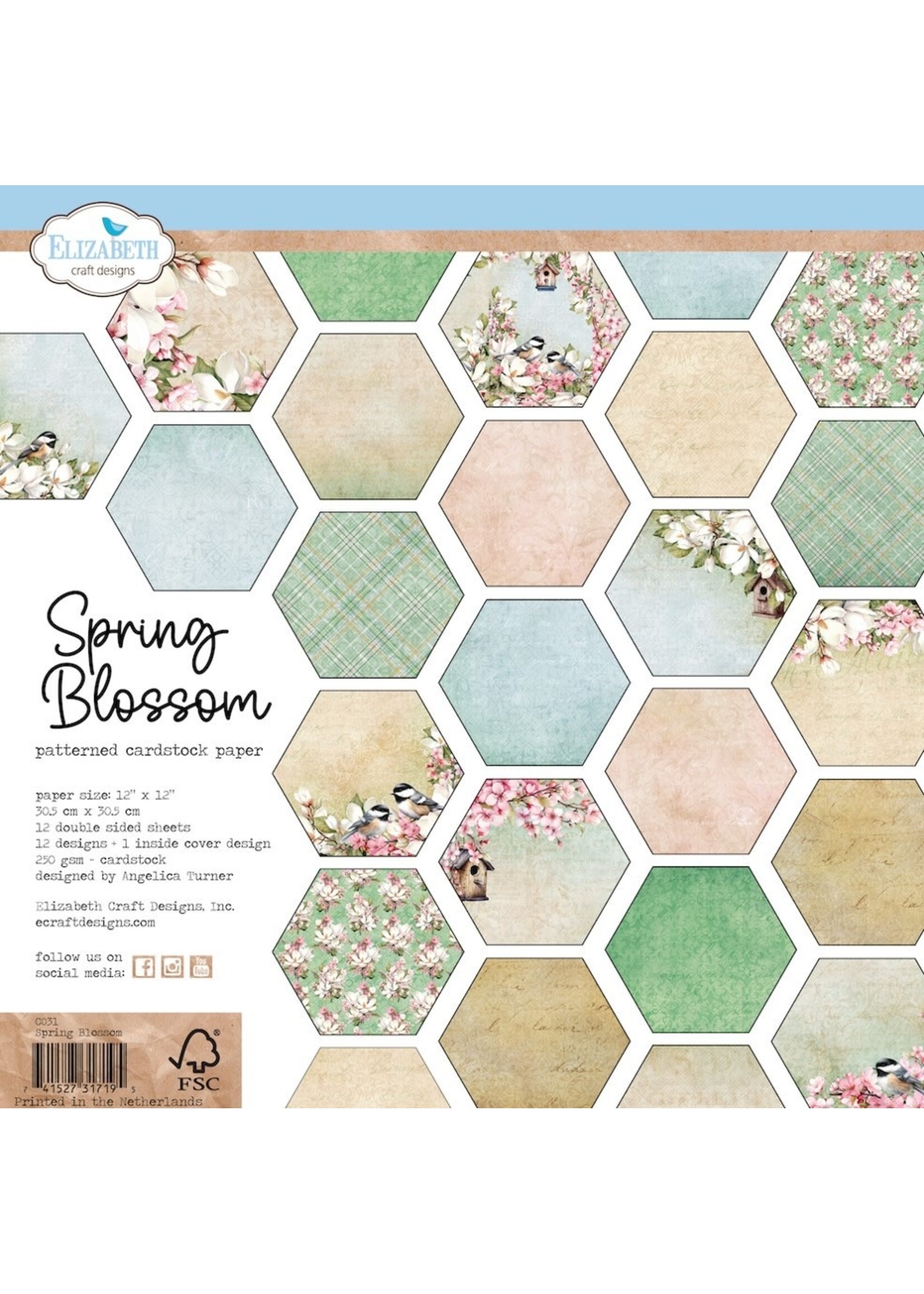 Elizabeth Craft Design 12x12 Collection Pack, Spring Blossoms