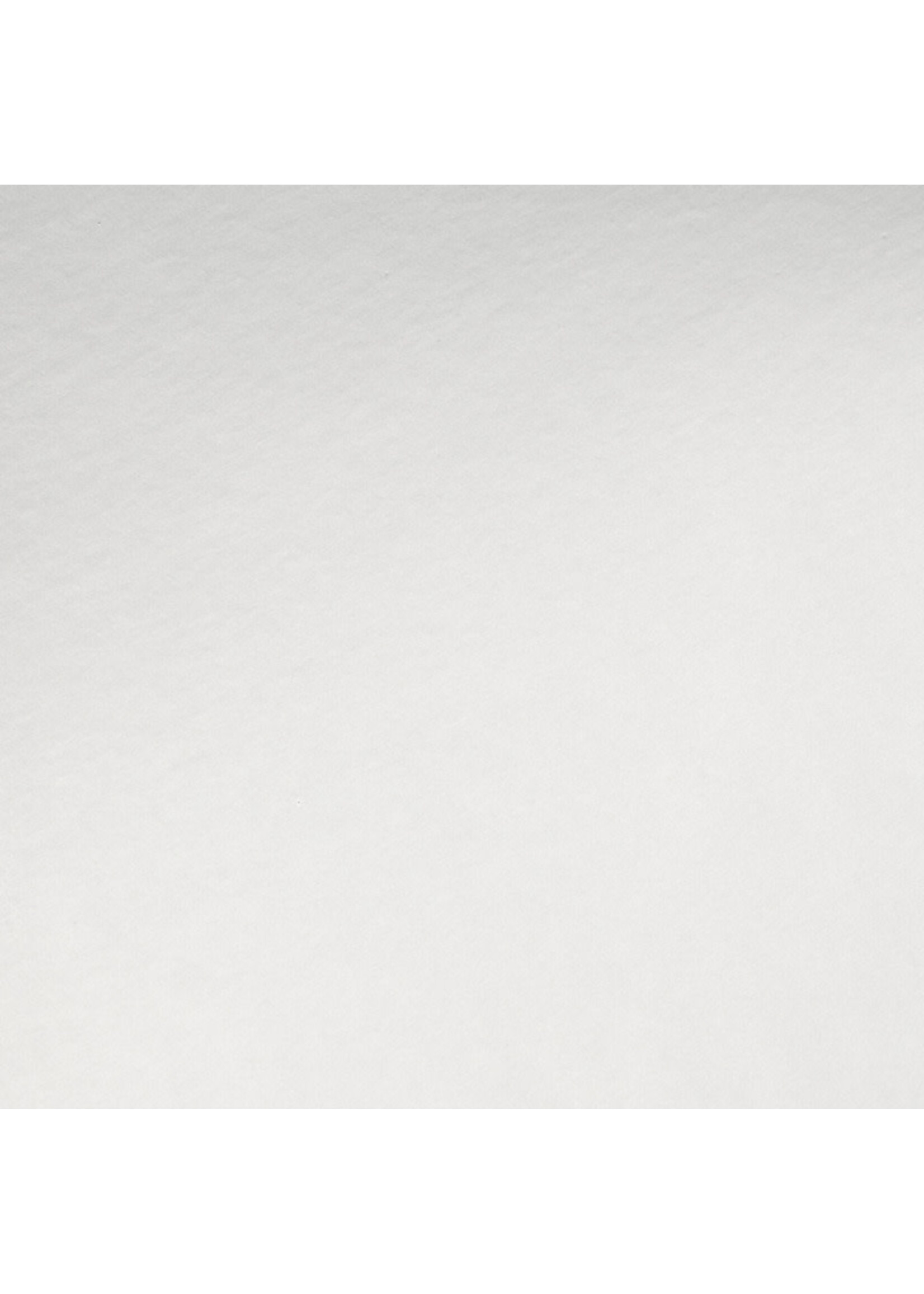 Prism Studio 12x12 Foil Cardstock, Brushed Silver (1 sheet)