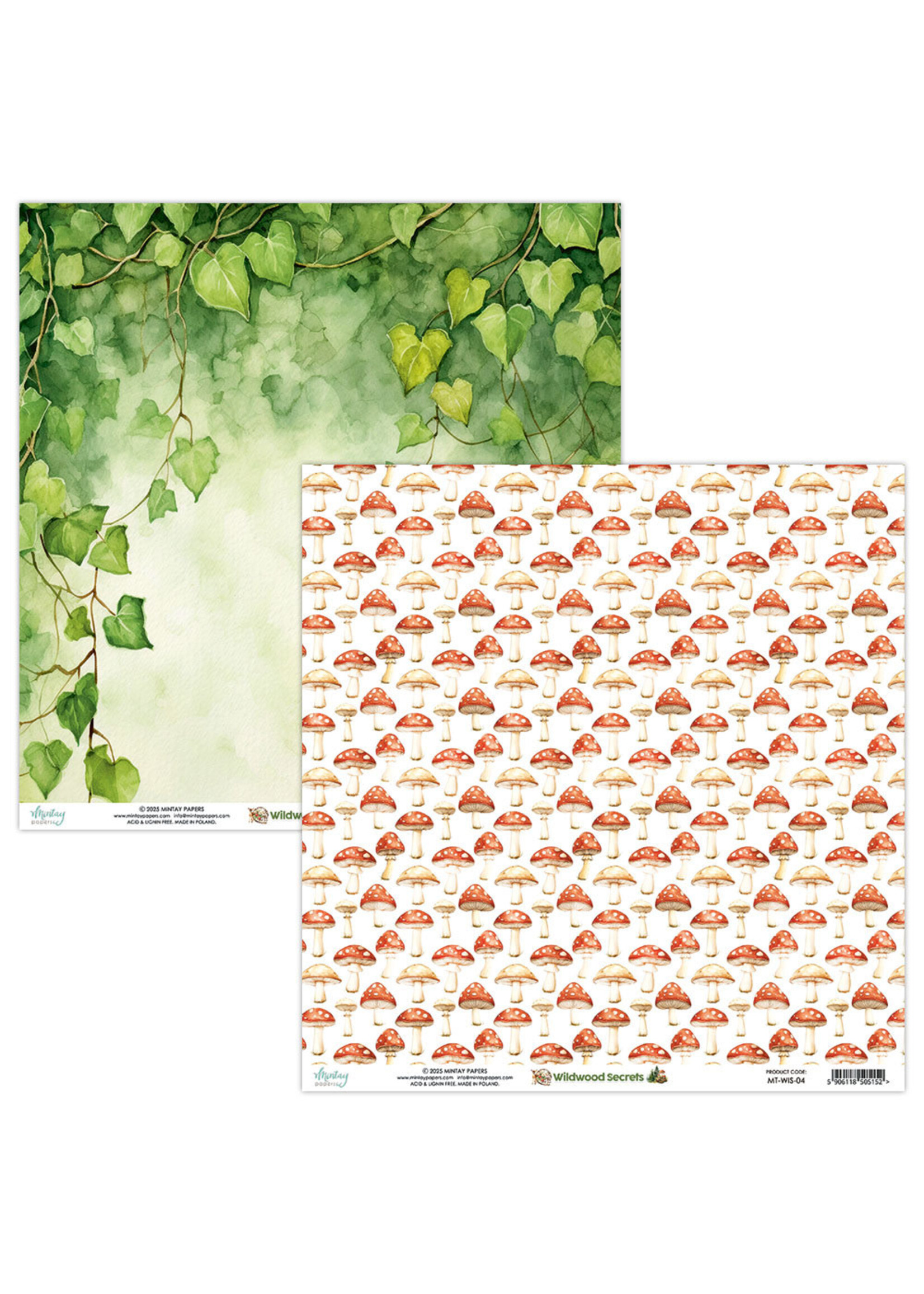 Mintay 12x12 Wildwood Secrets, 04