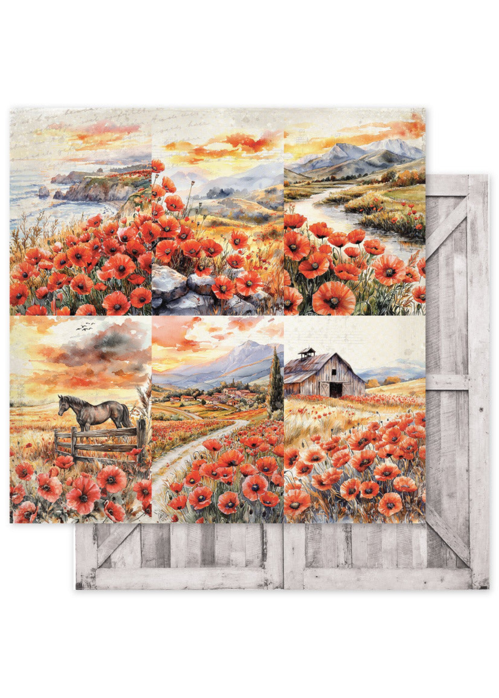 Paper Rose 12x12 Poppy Garden Basics, C