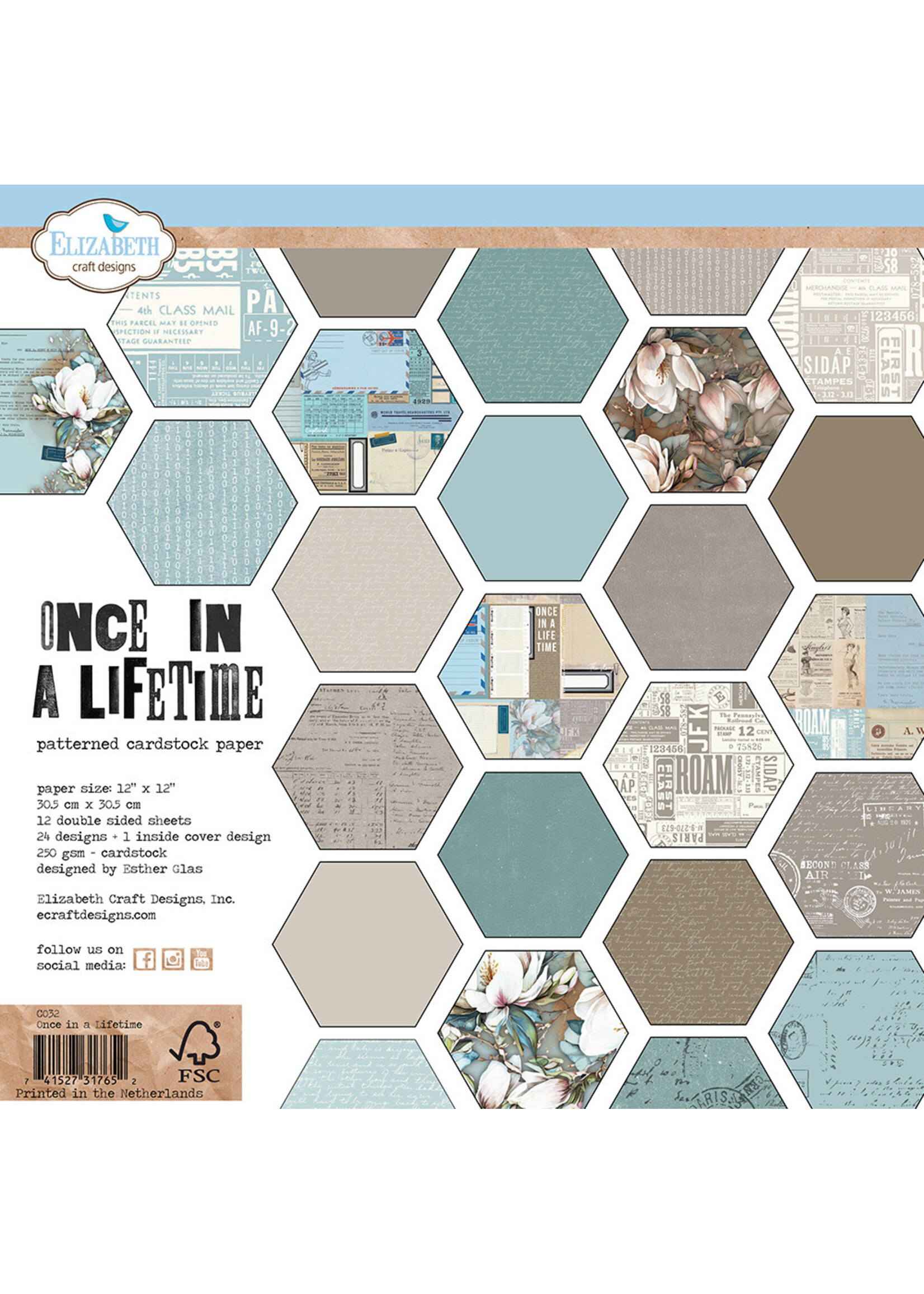 Elizabeth Craft Design 12x12 Printed Cardstock Pack, Once in a Lifetime