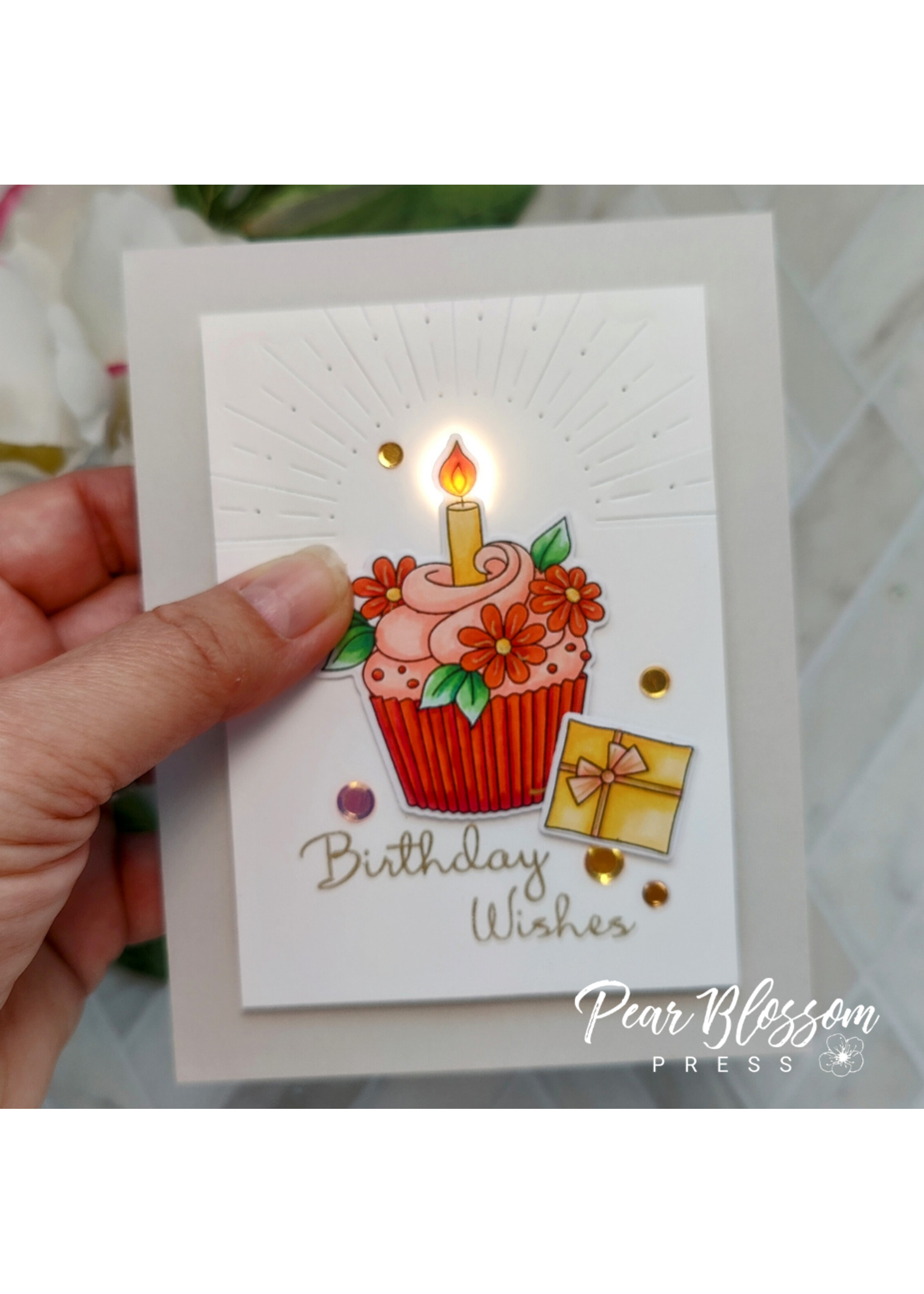 Pear Blossom One Light, 5 Pack