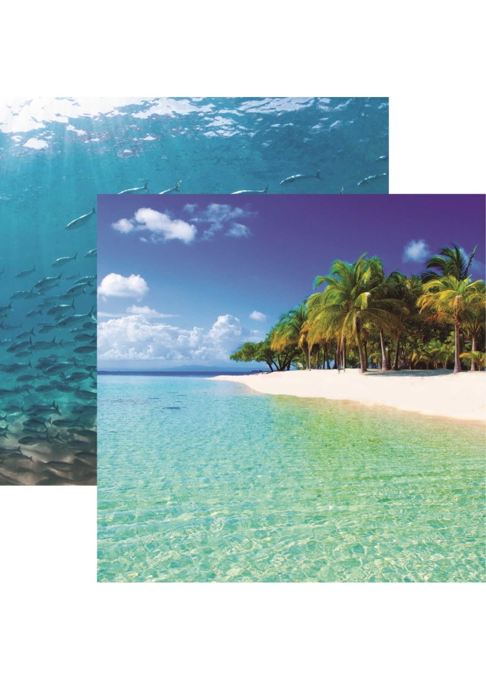 Reminisce Reminisce 12x12 Beach Vibes, Beach Palms