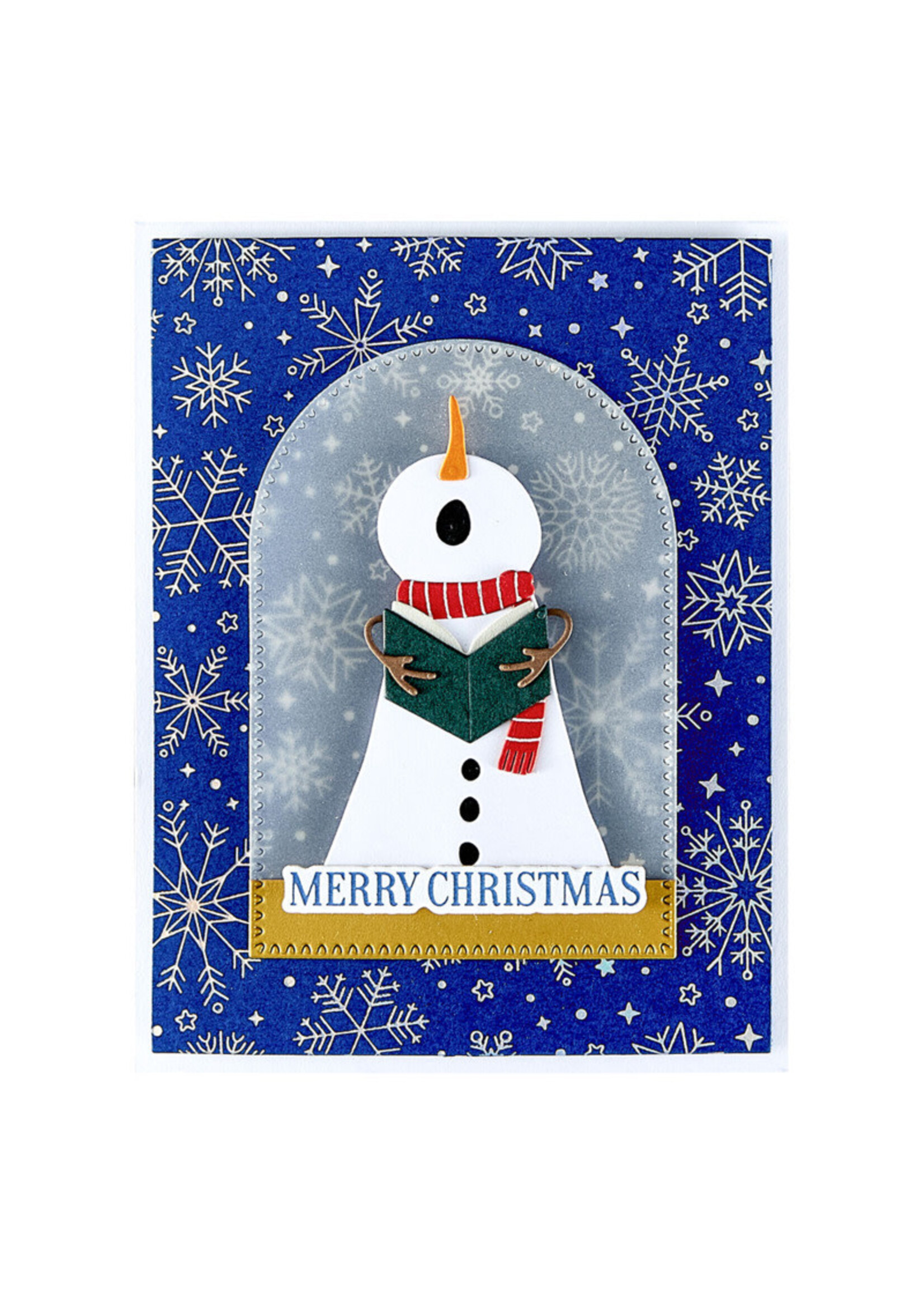 Spellbinders Spellbinders BetterPress Plate, Snowfall Shimmer