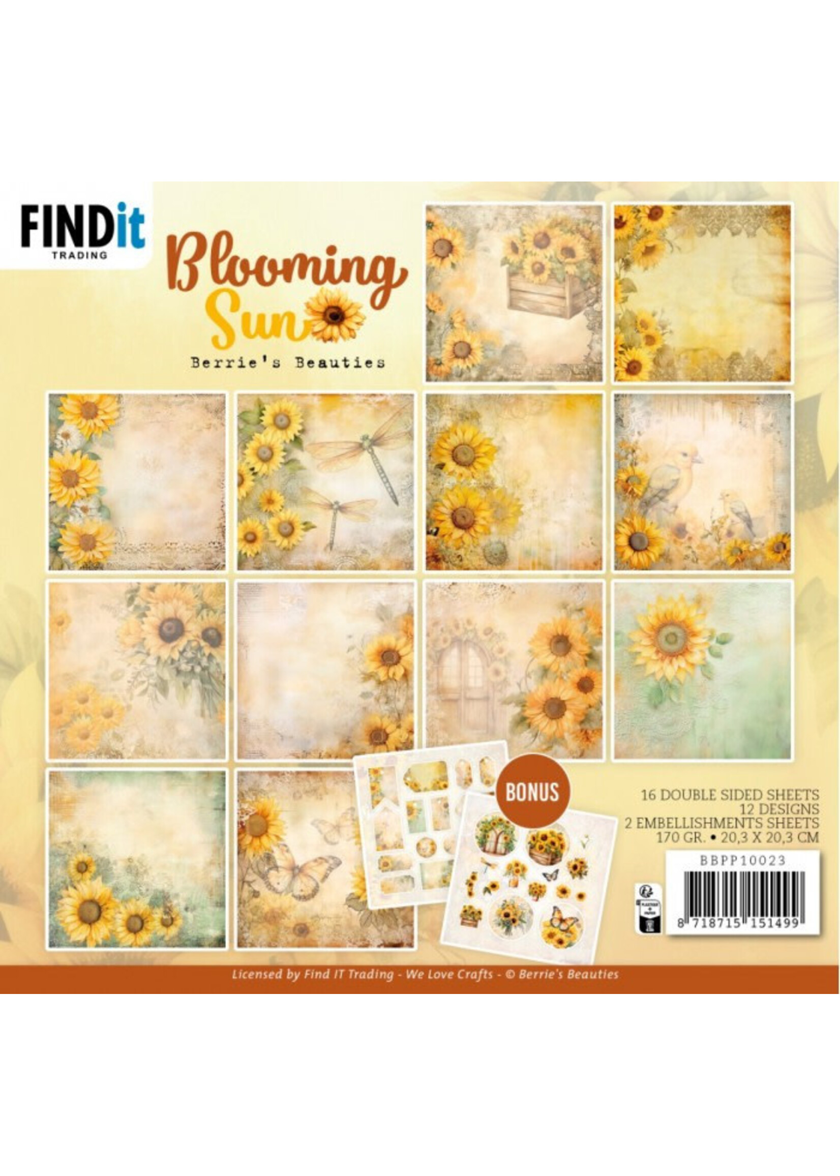 Find It Trading 8x8 Paper Pack, Berries Beauties - Blooming Sun