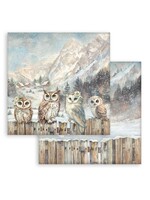 Stamperia 12x12 The Owl's House, Owls