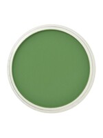 PanPastel PanPastel Ultra Soft, Chromium Oxide Green