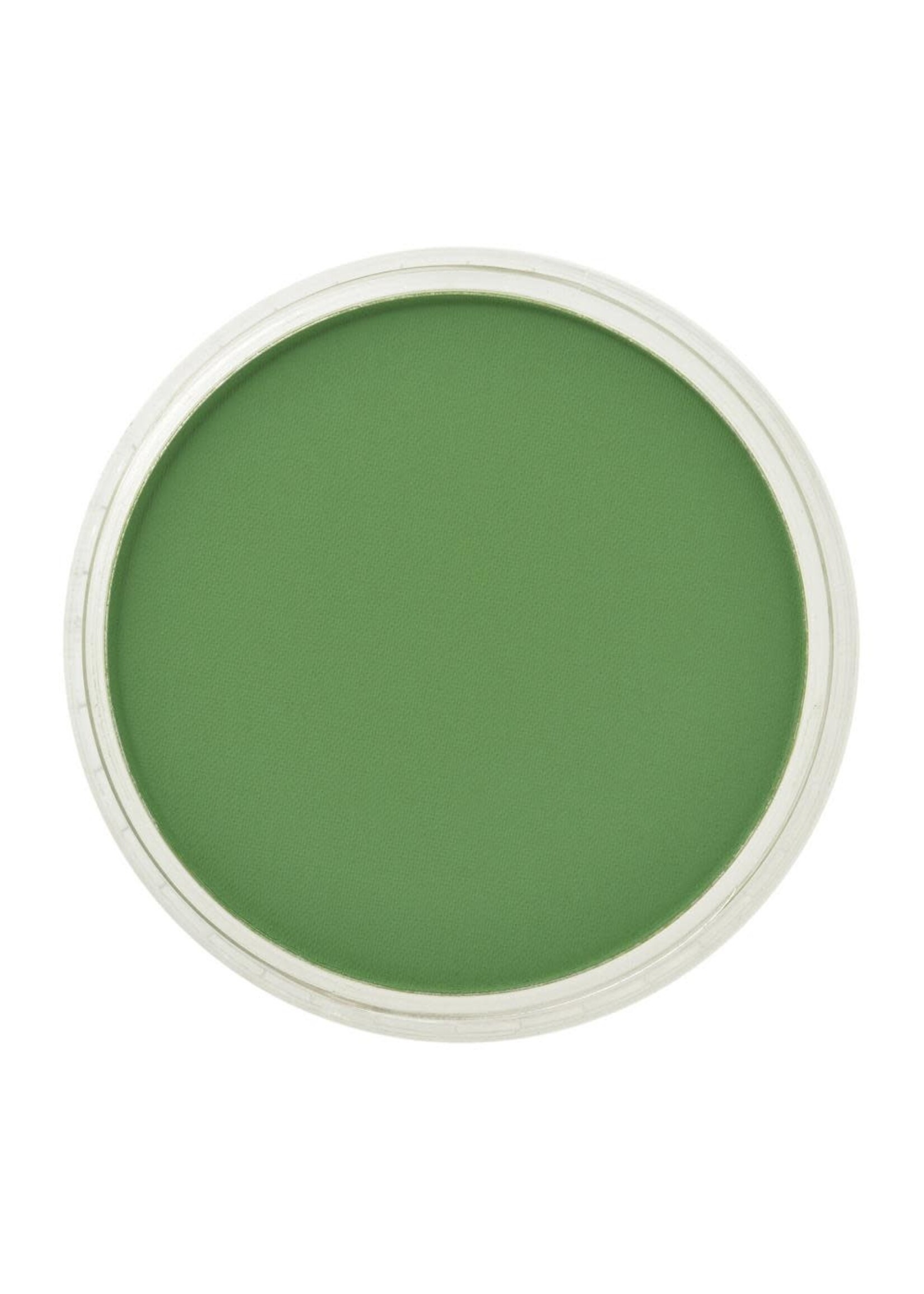 PanPastel PanPastel Ultra Soft, Chromium Oxide Green