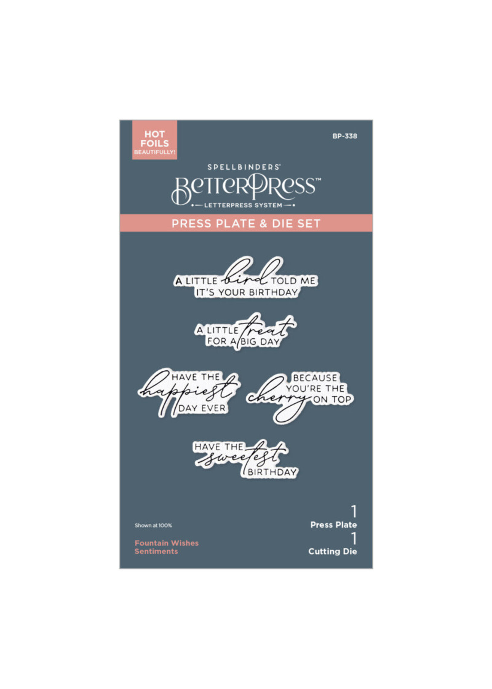 Spellbinders Spellbinders Betterpress Plate & Die, Fountain Wishes Sentiments