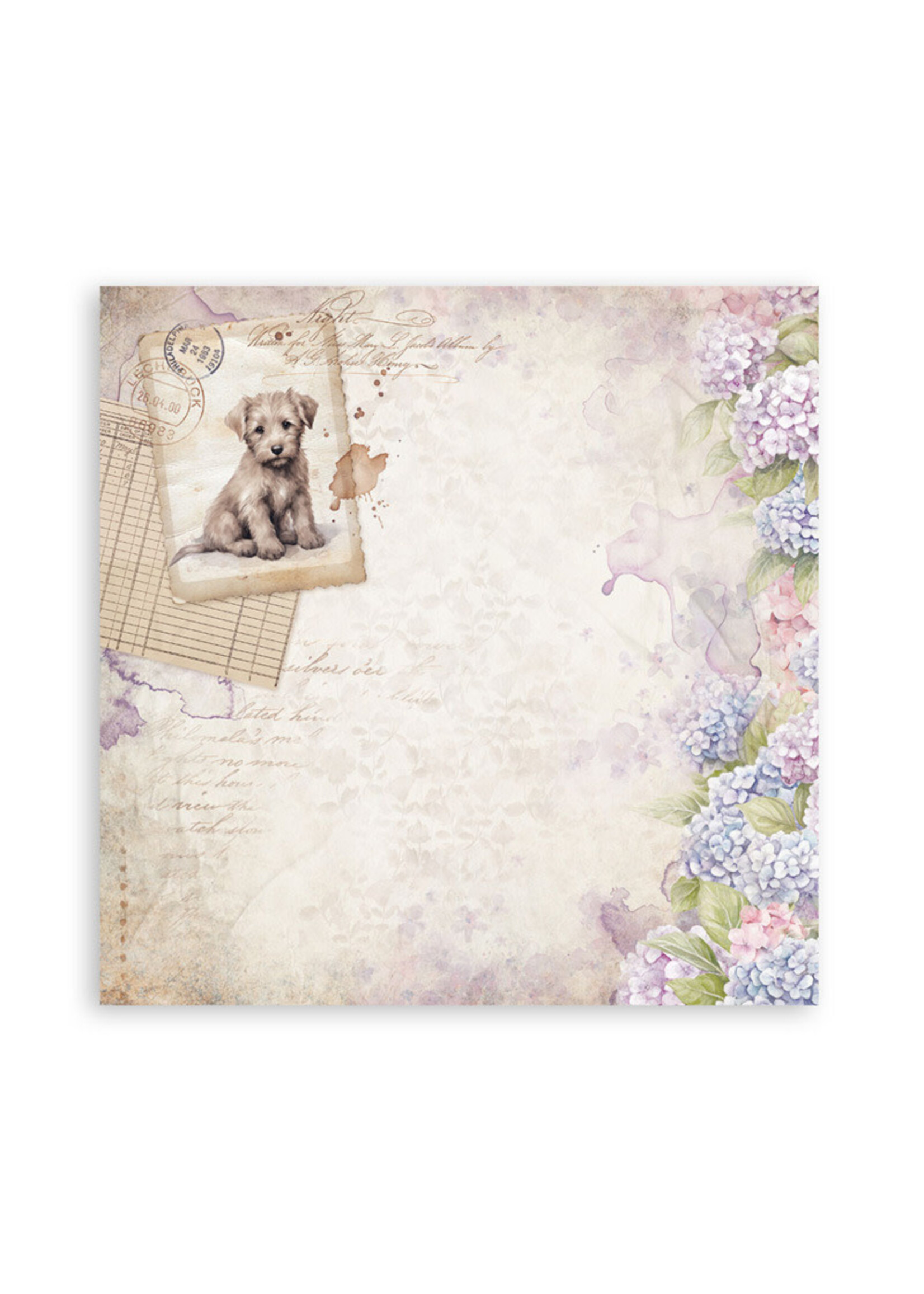 Stamperia Stamperia 12x12 Maxi Collection, Quiet Days