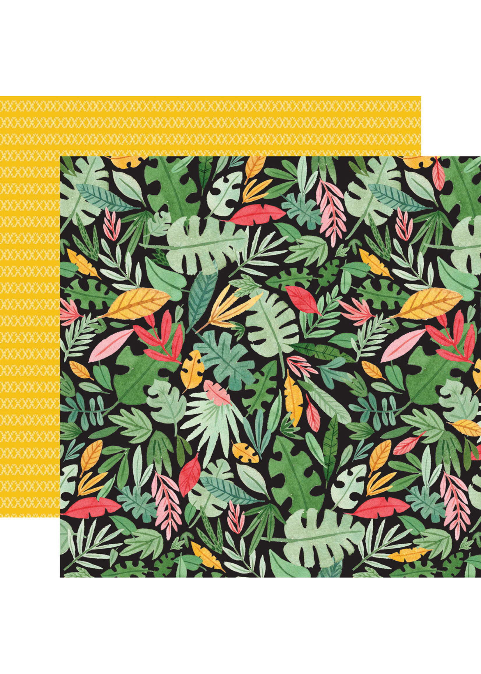 Echo Park Echo Park 12x12 Animal Kingdom, Paradise Palms