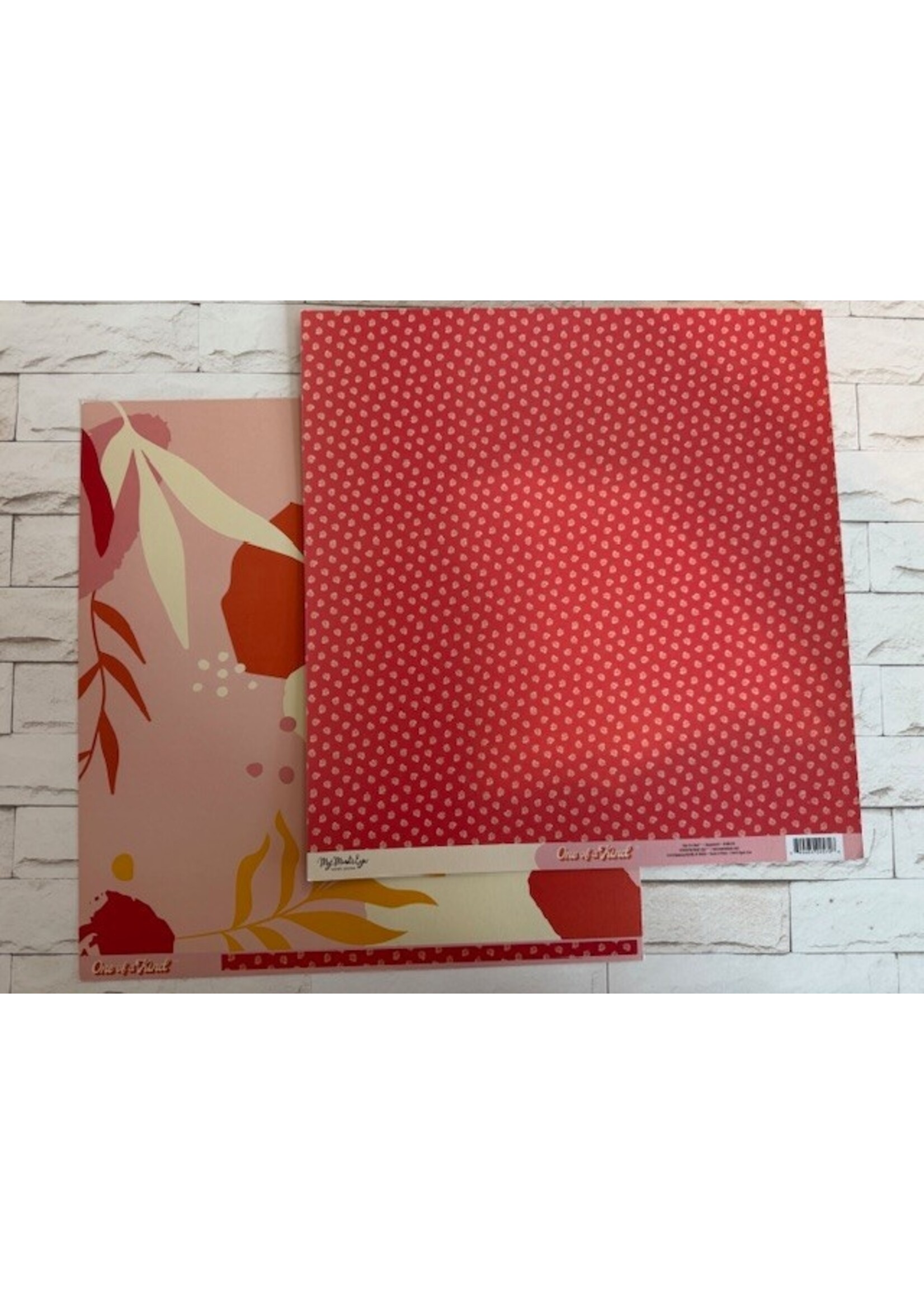 My Minds Eye 12x12 One of a Kind, Empowered