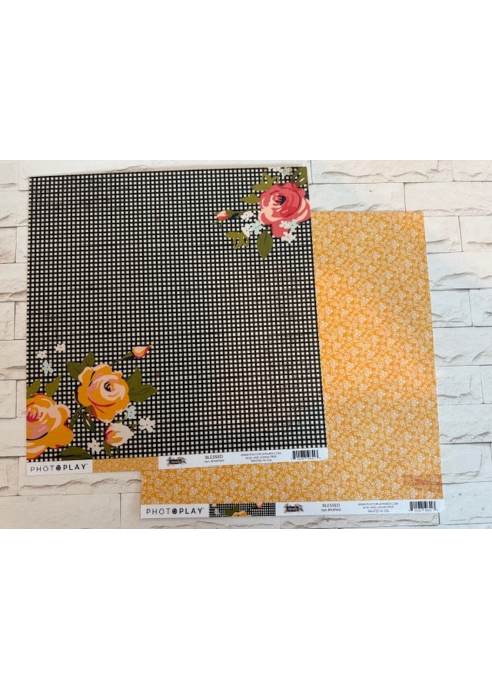 PhotoPlay Photoplay 12x12  We Are Family, Blessed