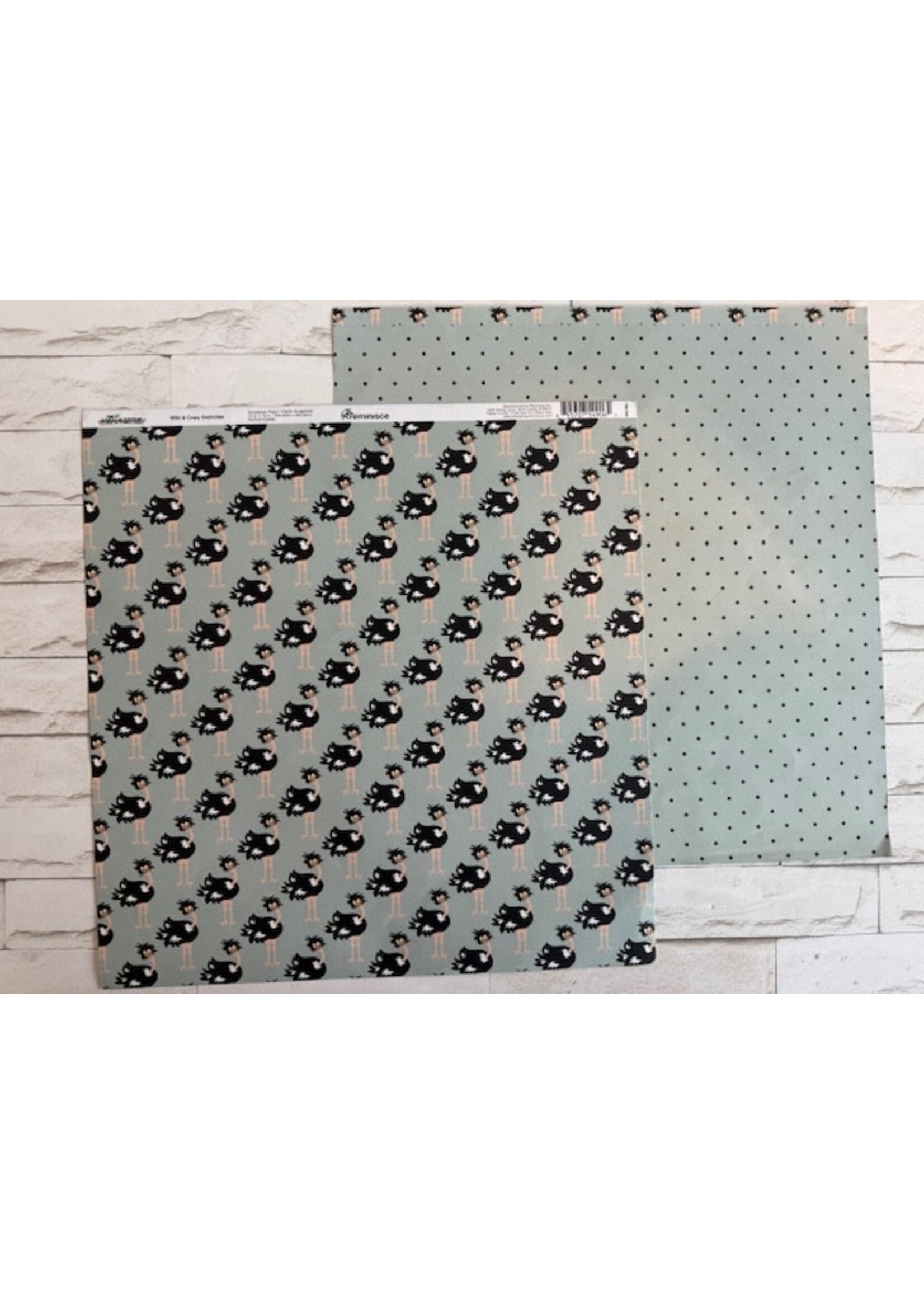 Reminisce Reminisce 12x12 The Menagerie,  Wild & Crazy Ostriches