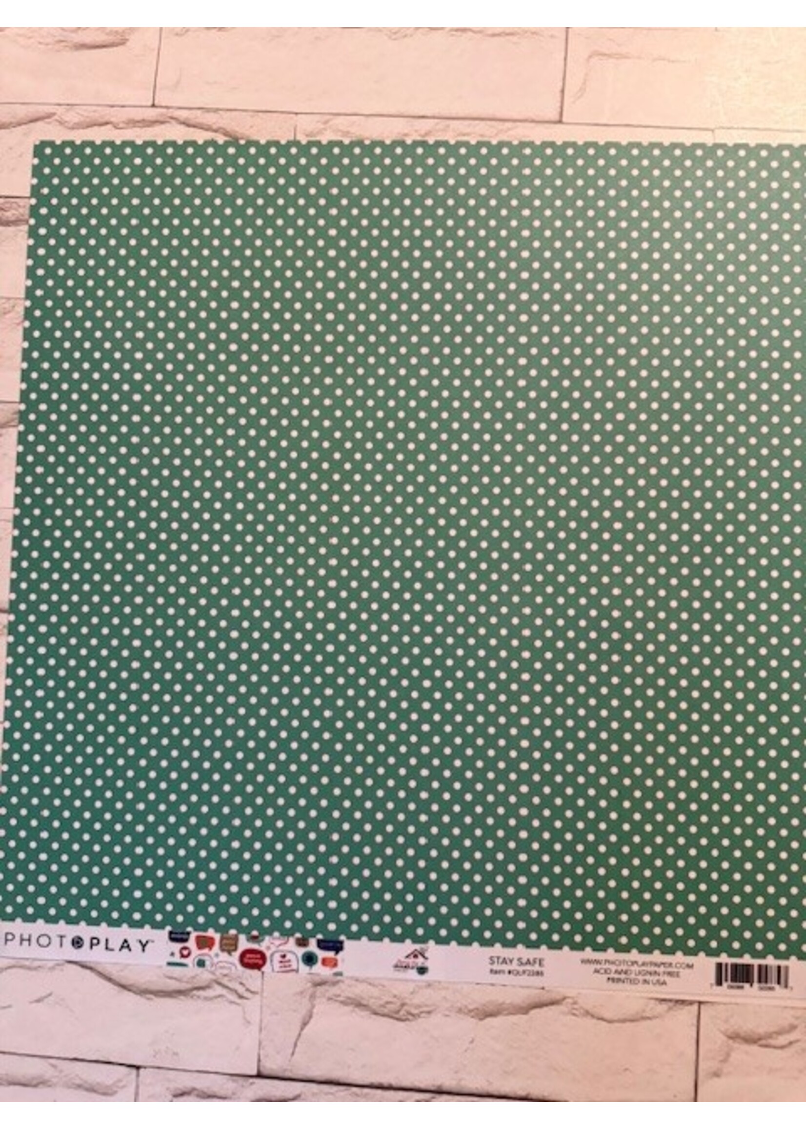 PhotoPlay PhotoPlay 12x12 Living the Quarantine Life, Stay Safe