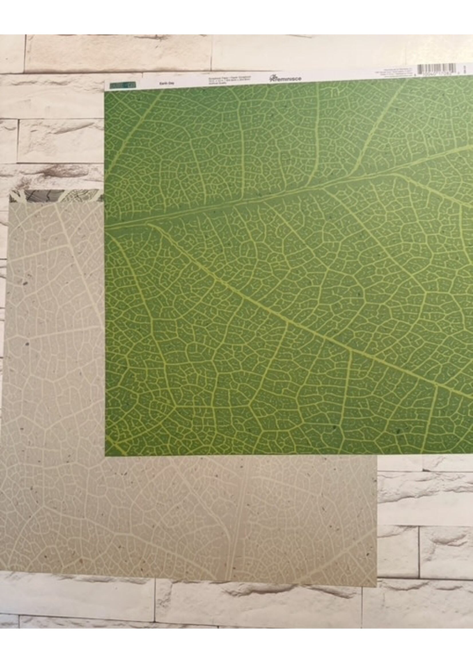 Reminisce Reminisce 12x12 Earth Day, Earth Day