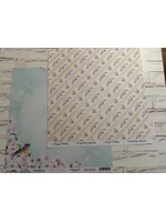 Scrap Boys Scrap Boys 12x12 Flower Dreams, FLDR-02 Happy Birthday