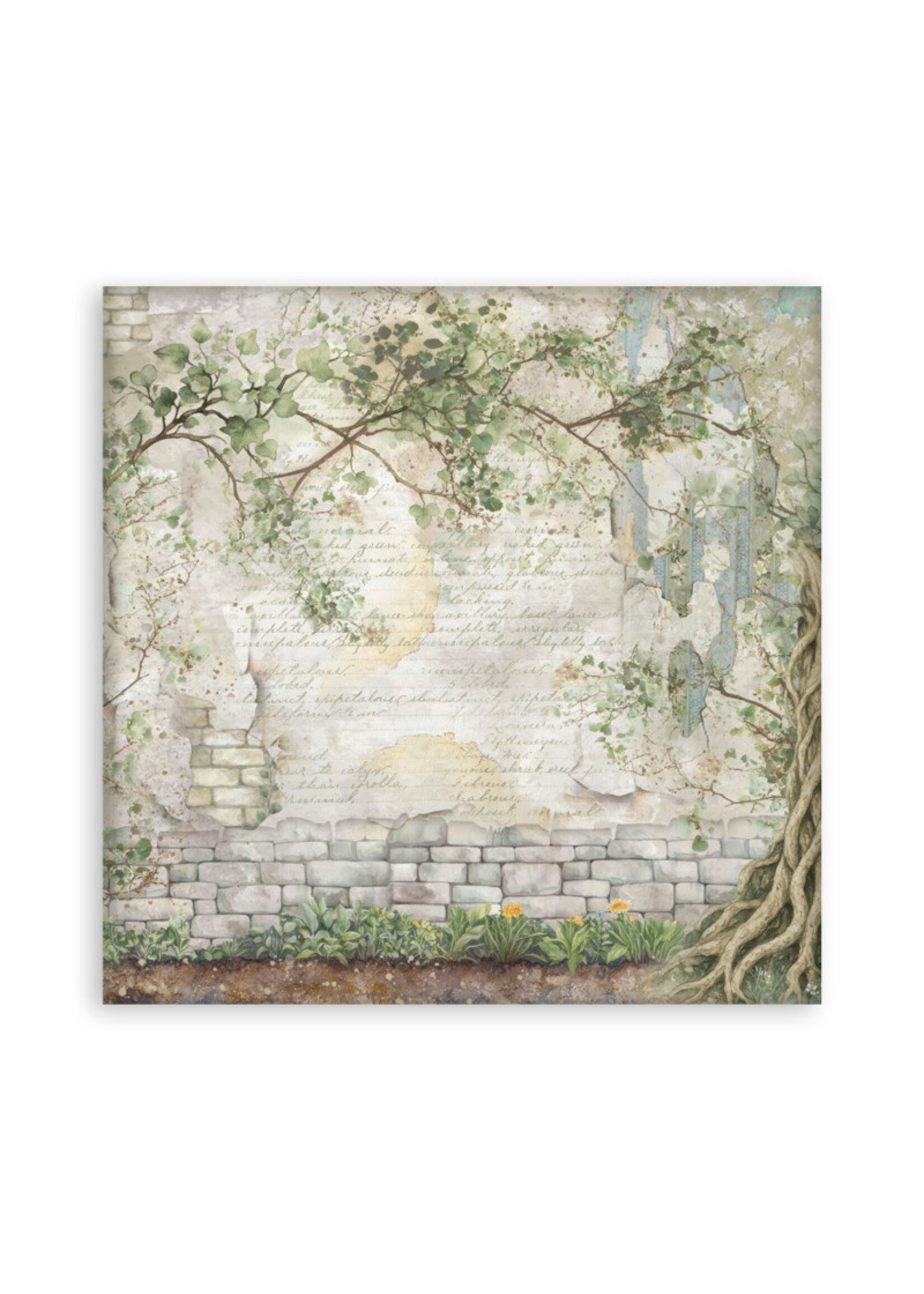 Stamperia Stamperia 12x12 Maxi Paper Pad, Herbarium Silvae