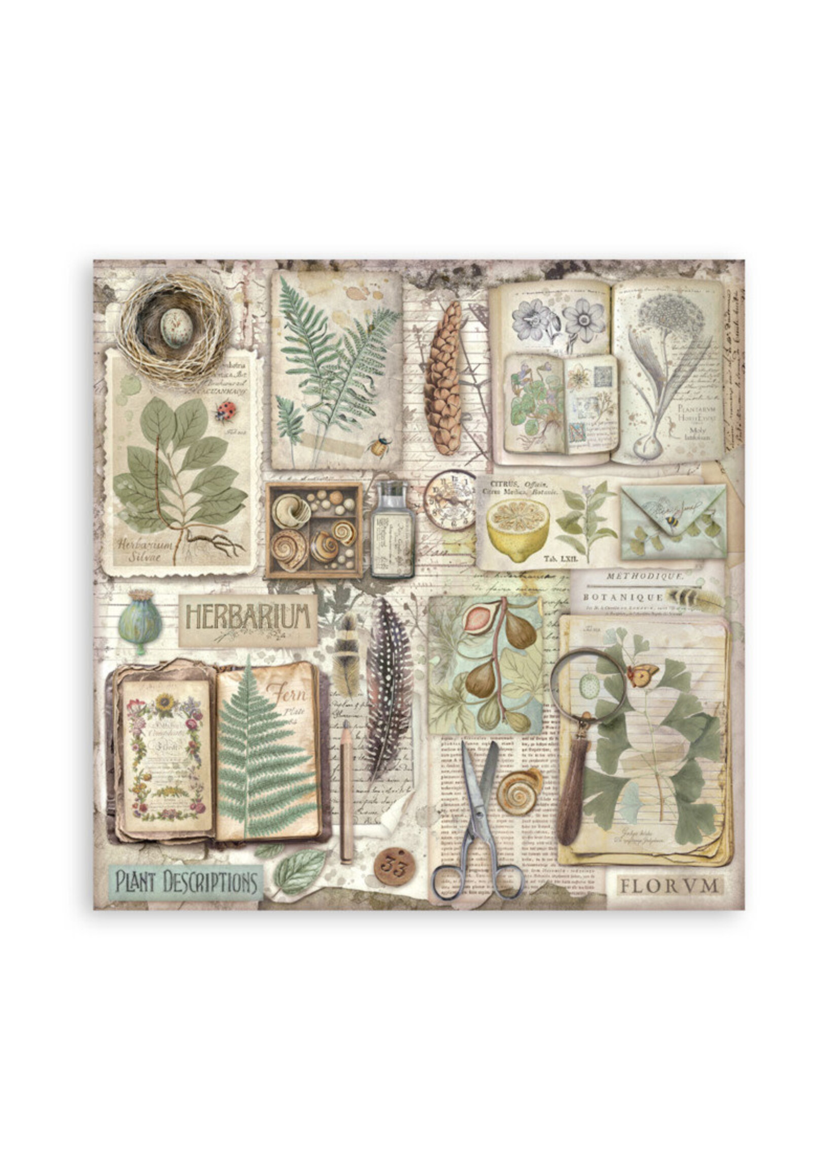 Stamperia Stamperia 12x12 Maxi Paper Pad, Herbarium Silvae