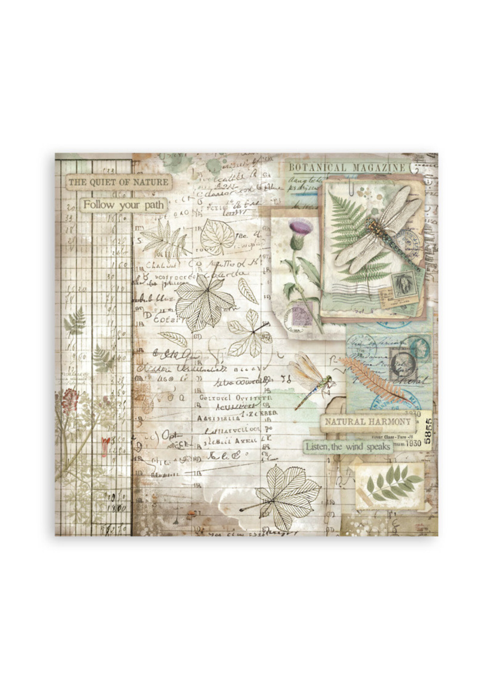 Stamperia Stamperia 12x12 Maxi Paper Pad, Herbarium Silvae