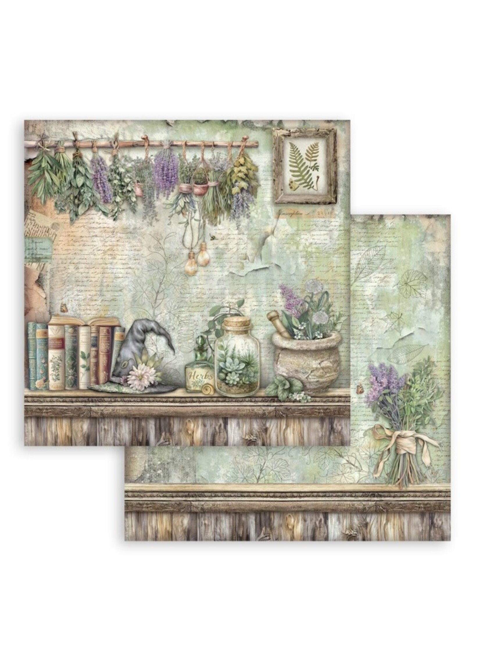 Stamperia Stamperia 12x12 Paper Pad, Herbarium Silvae