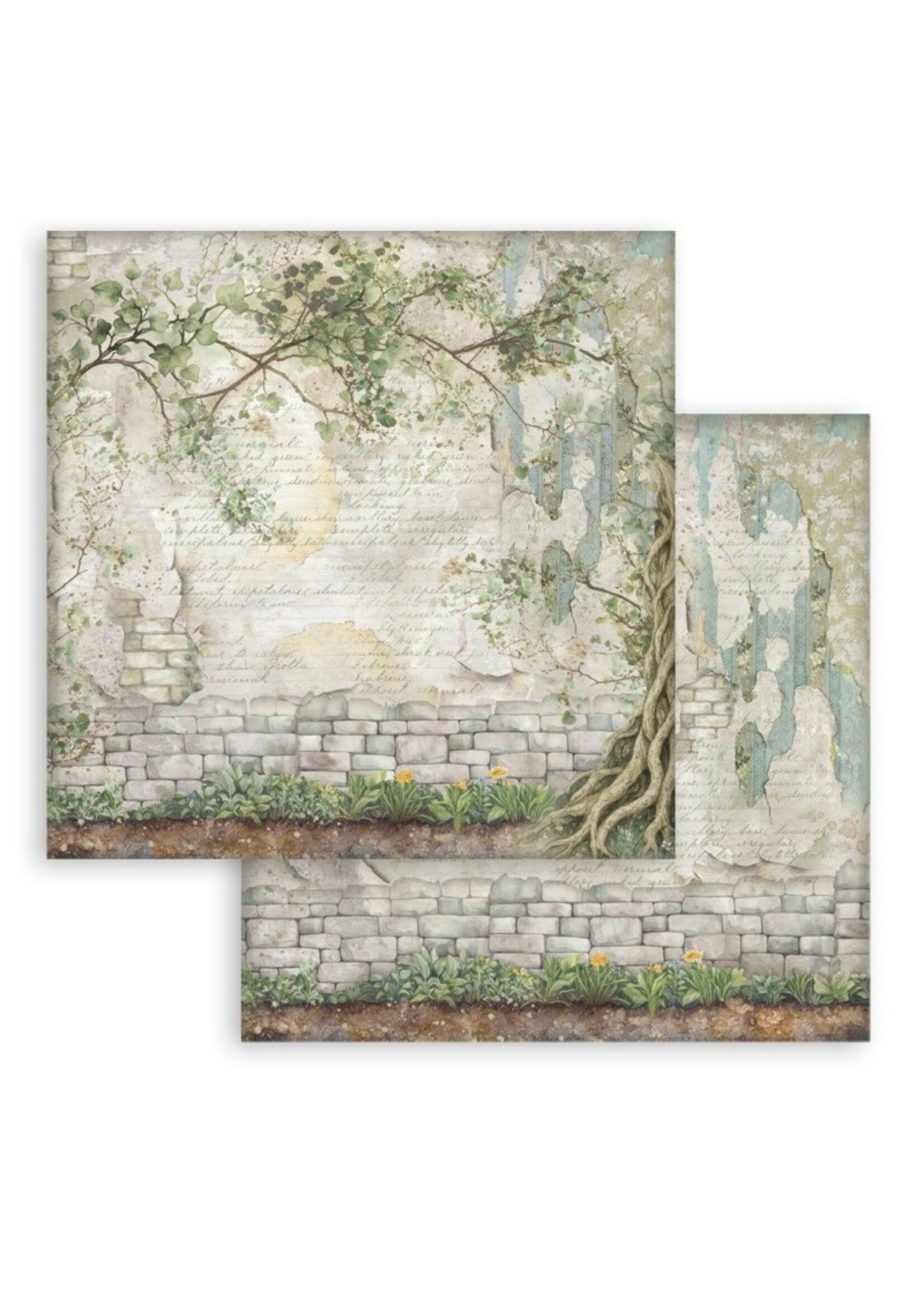 Stamperia Stamperia 12x12 Maxi Backgrounds Paper, Herbarium Silvae