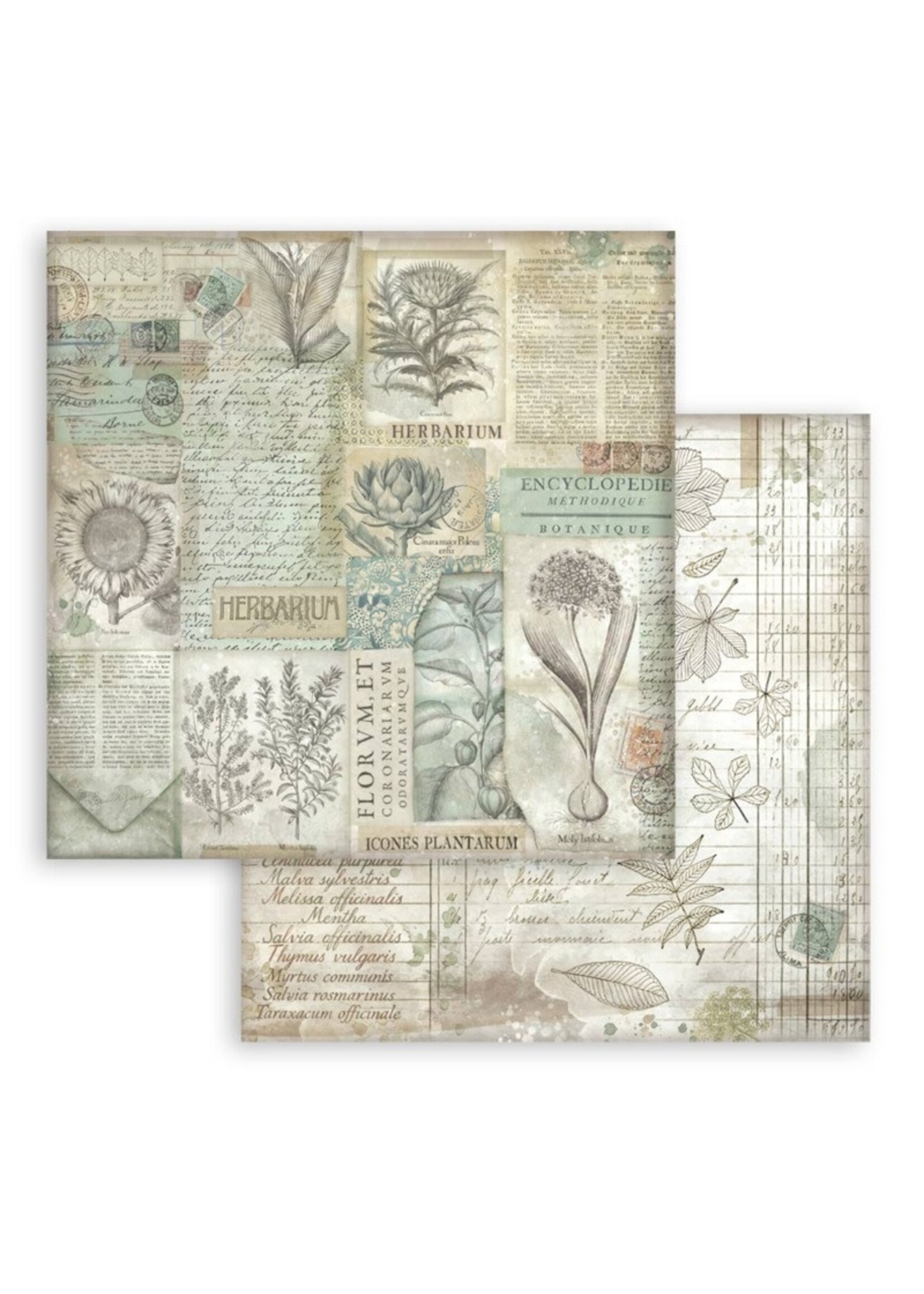 Stamperia Stamperia 12x12 Maxi Backgrounds Paper, Herbarium Silvae