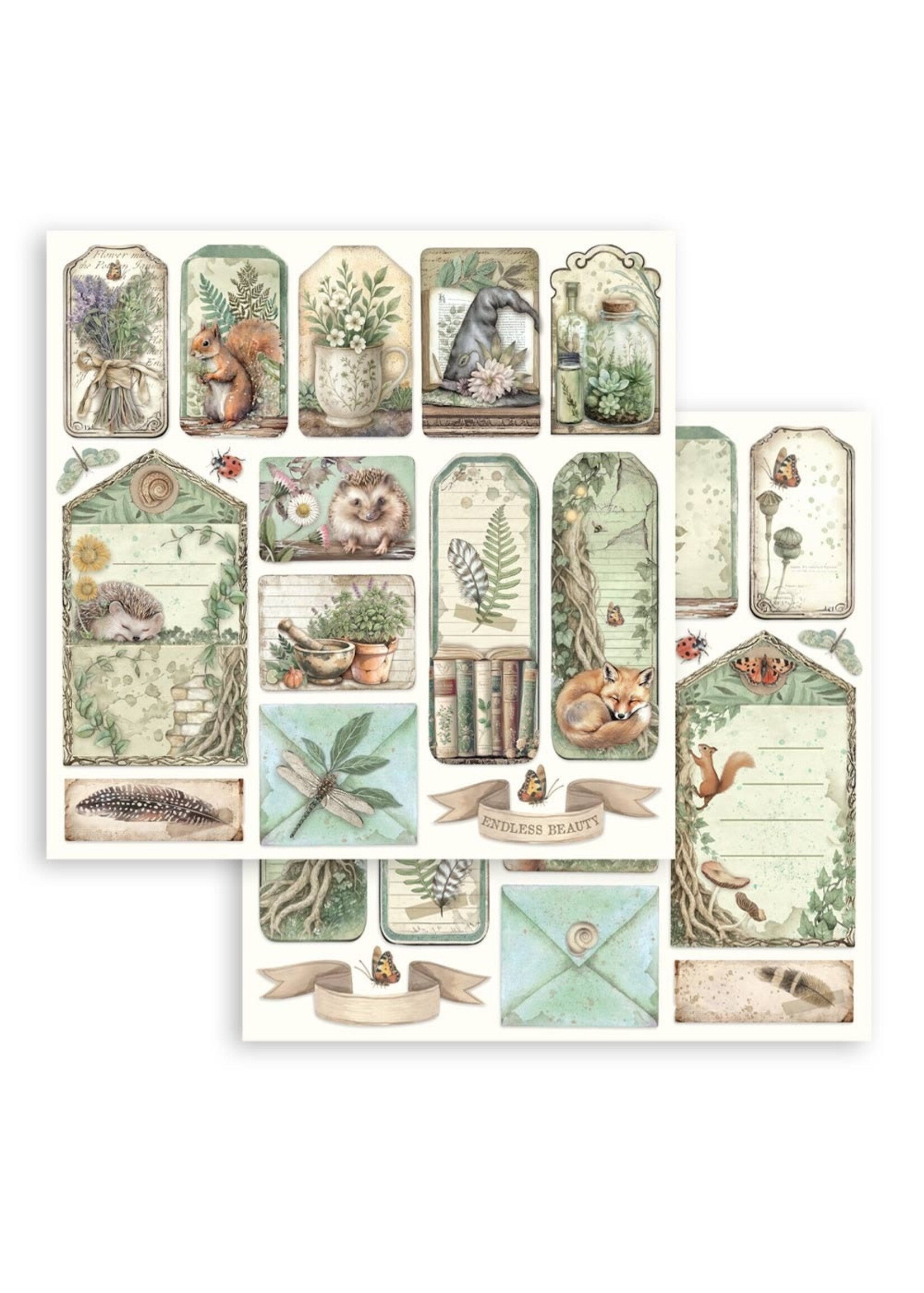 Stamperia Stamperia 12x12 Herbarium Silvae, SBB1115 Tags & Letters