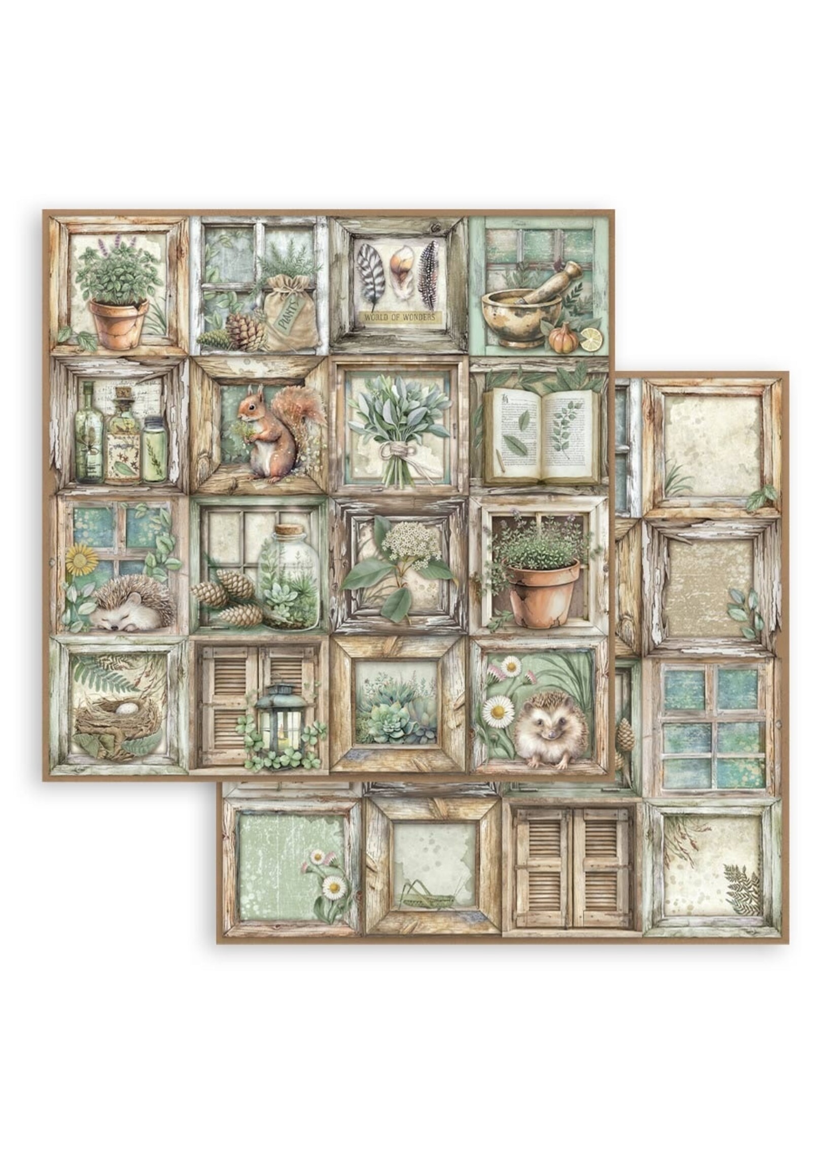 Stamperia Stamperia 12x12 Herbarium Silvae, SBB1111 Frames