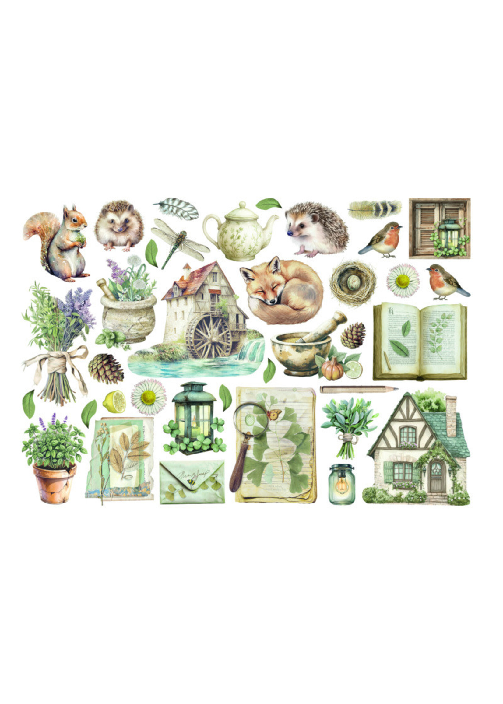 Stamperia Stamperia Adhesive Ephemera, DFLCT71 Herbarium Silvae