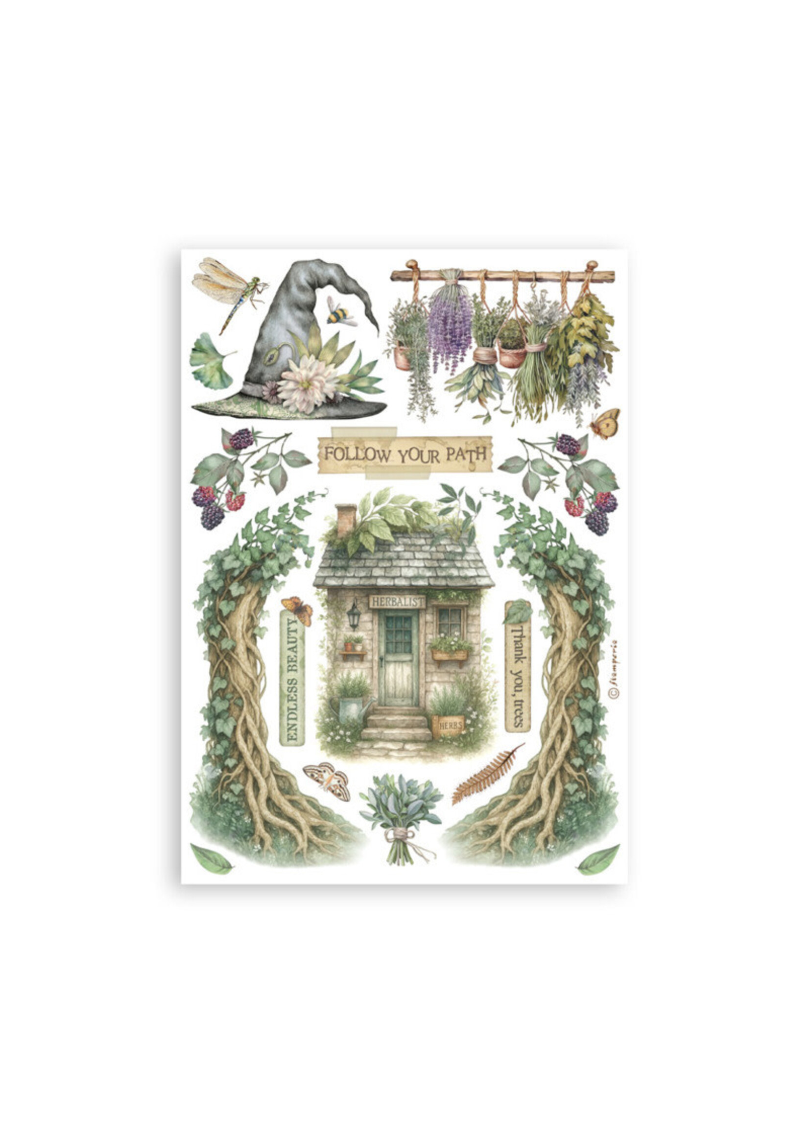 Stamperia Stamperia Washi Pad, SBW27 Herbarium Silvae