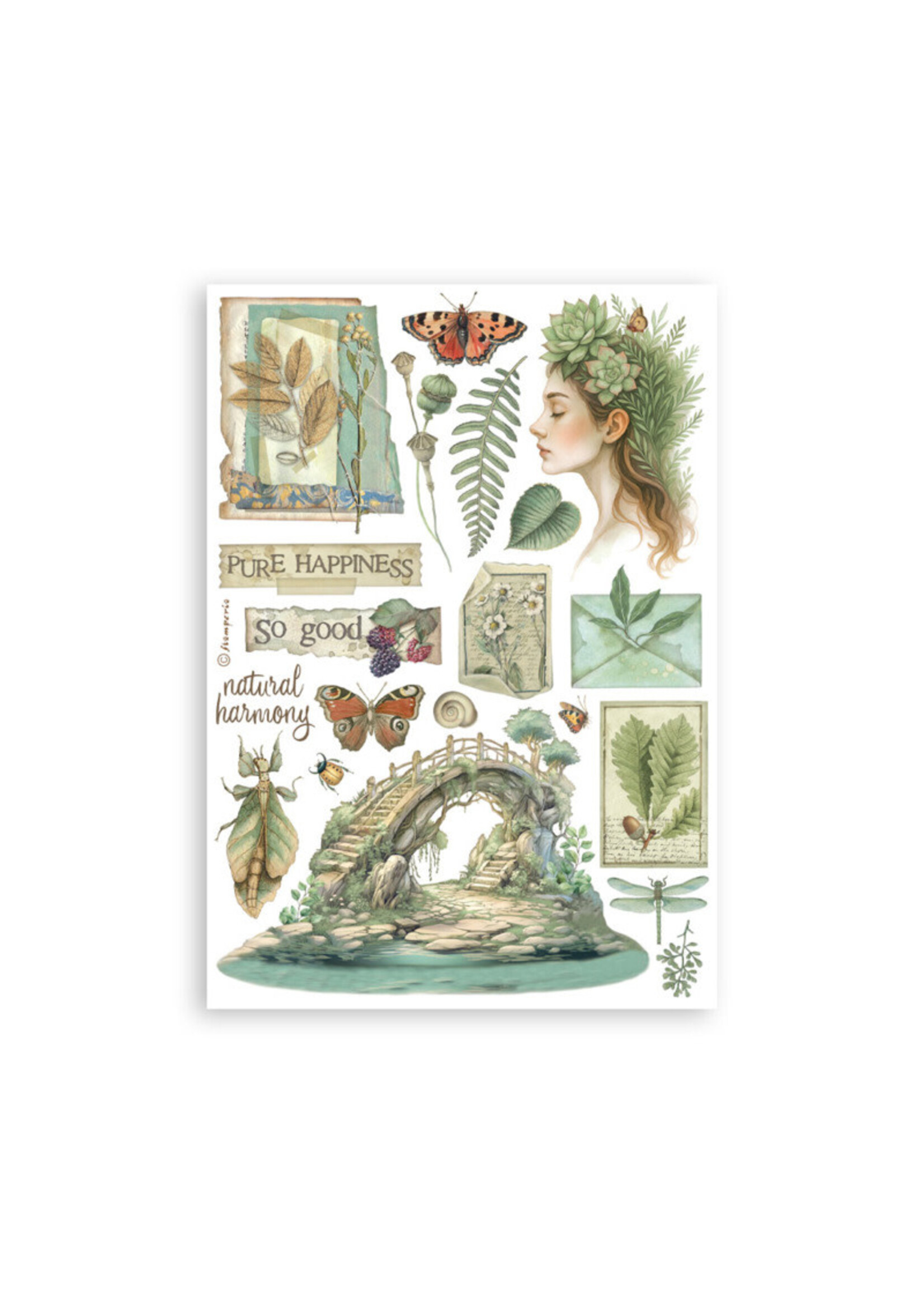 Stamperia Stamperia Washi Pad, SBW27 Herbarium Silvae