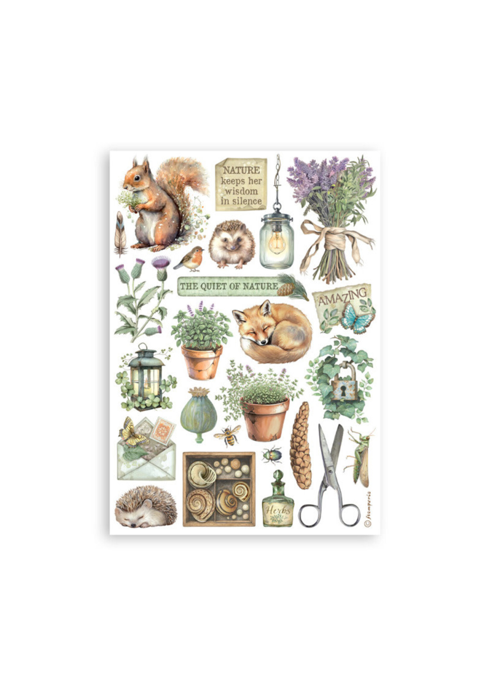 Stamperia Stamperia Washi Pad, SBW27 Herbarium Silvae