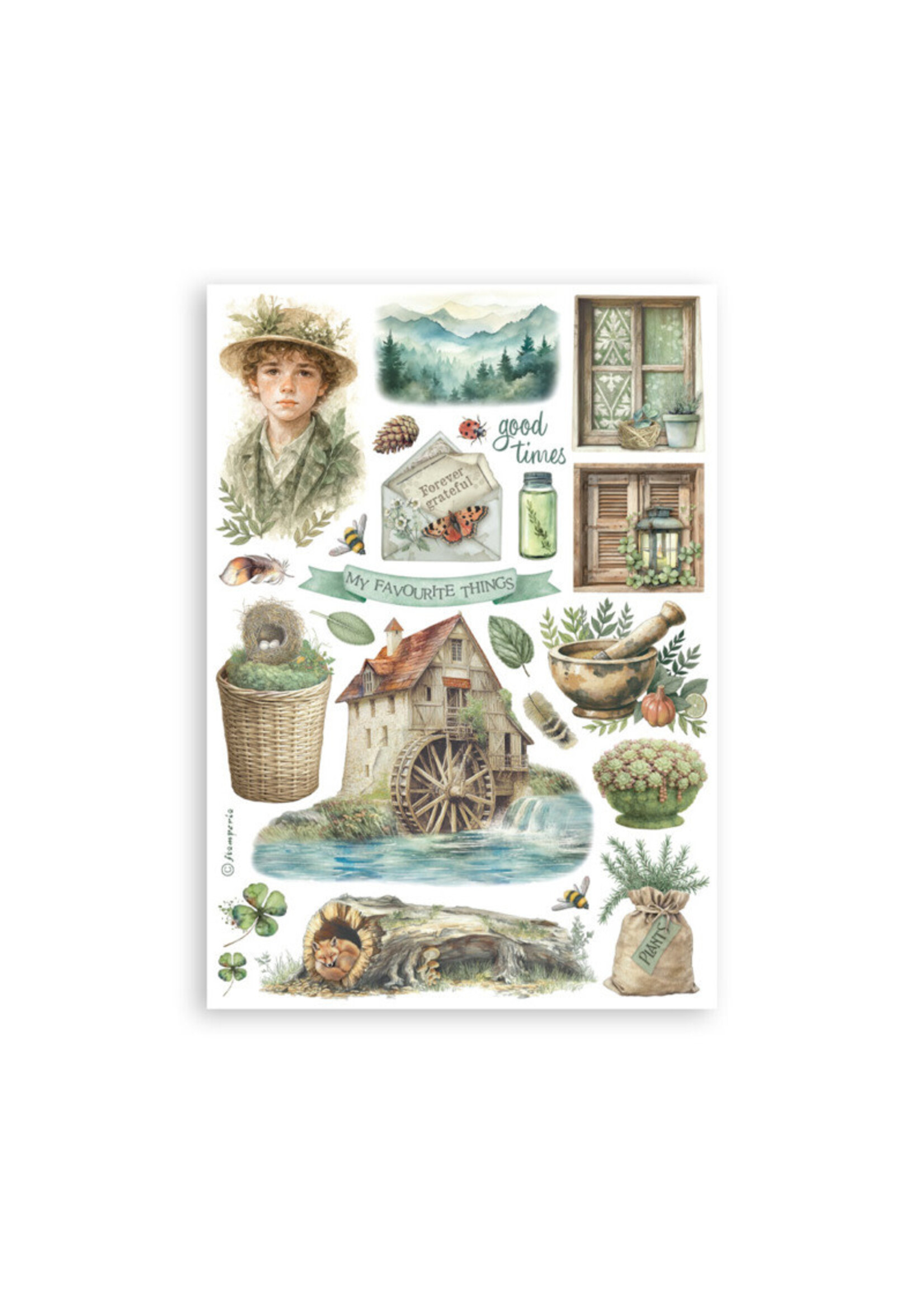 Stamperia Stamperia Washi Pad, SBW27 Herbarium Silvae