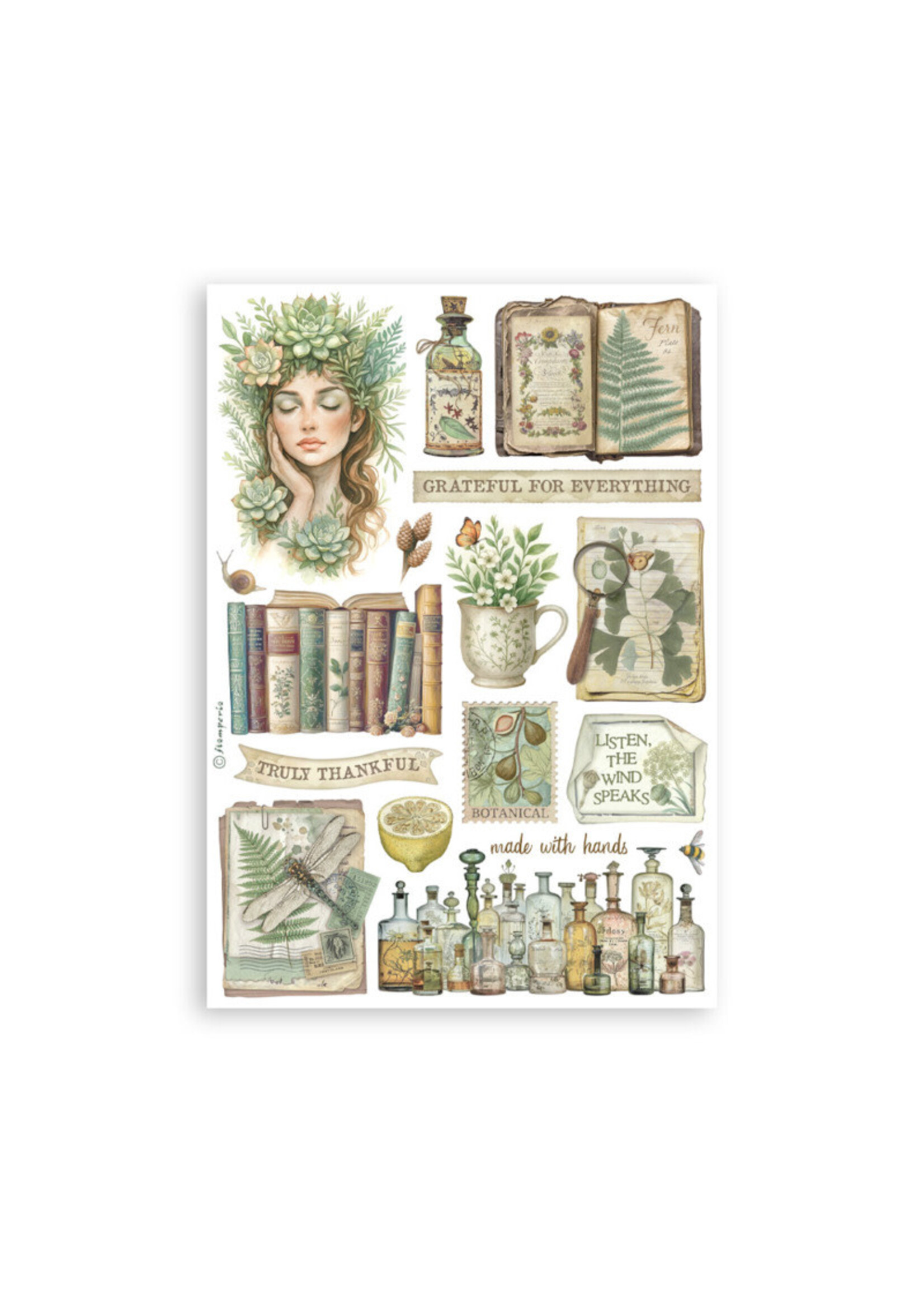 Stamperia Stamperia Washi Pad, SBW27 Herbarium Silvae
