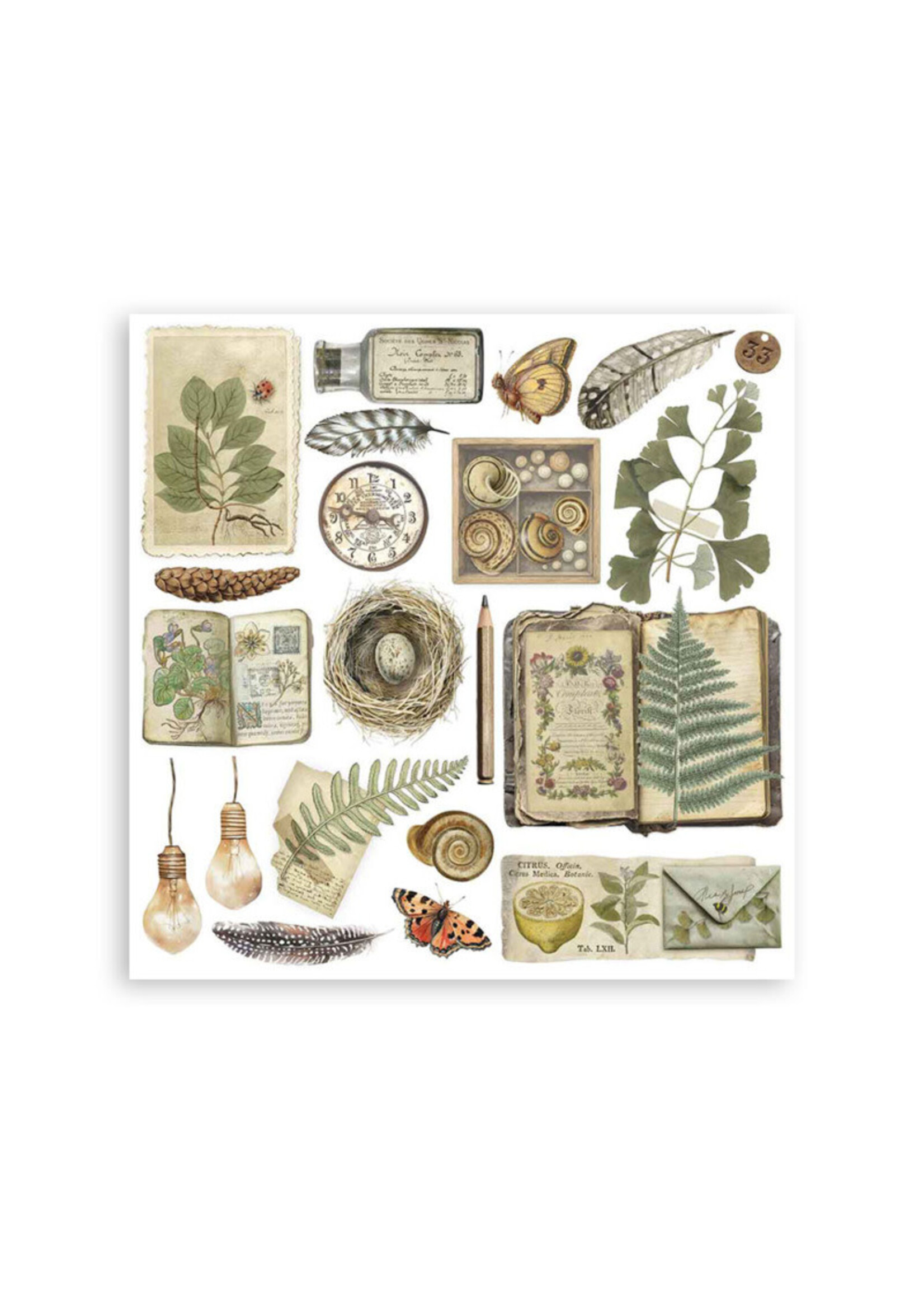 Stamperia Stamperia Rub On Kit, DFLRBX02 Herbarium Silvae