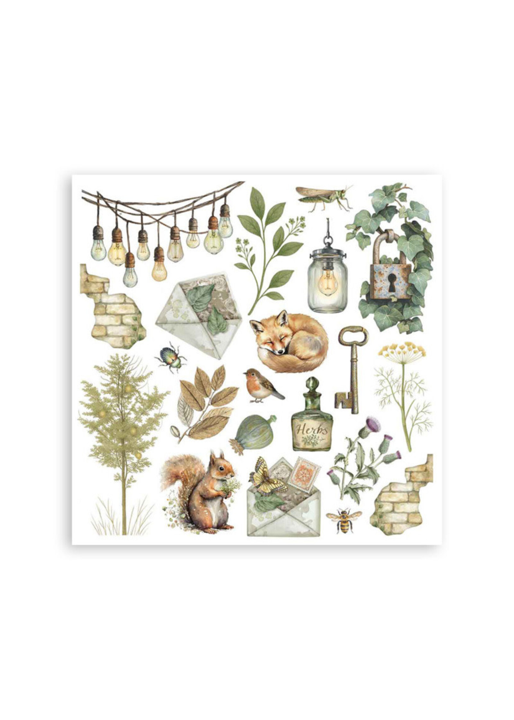 Stamperia Stamperia Rub On Kit, DFLRBX02 Herbarium Silvae