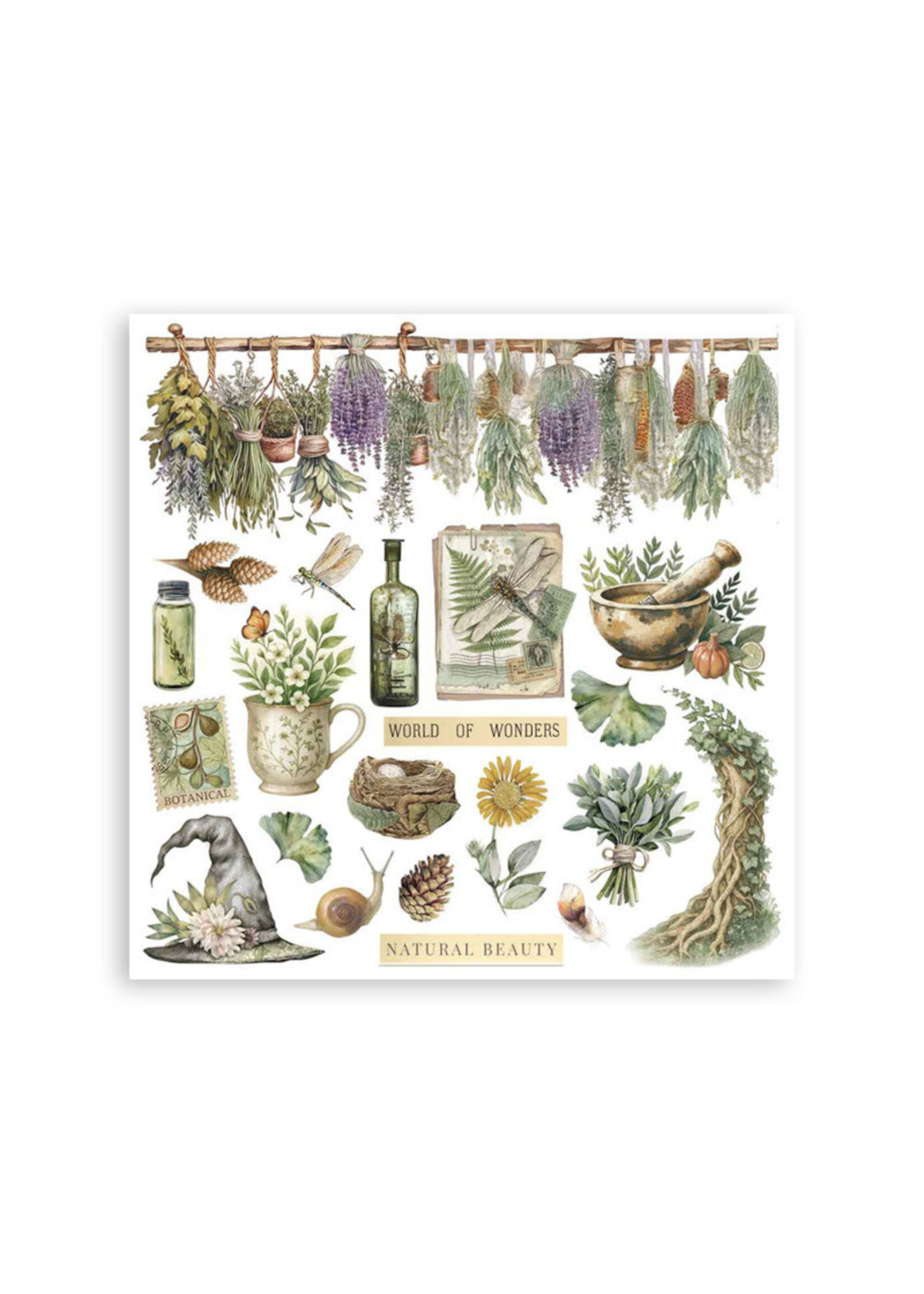 Stamperia Stamperia Rub On Kit, DFLRBX02 Herbarium Silvae