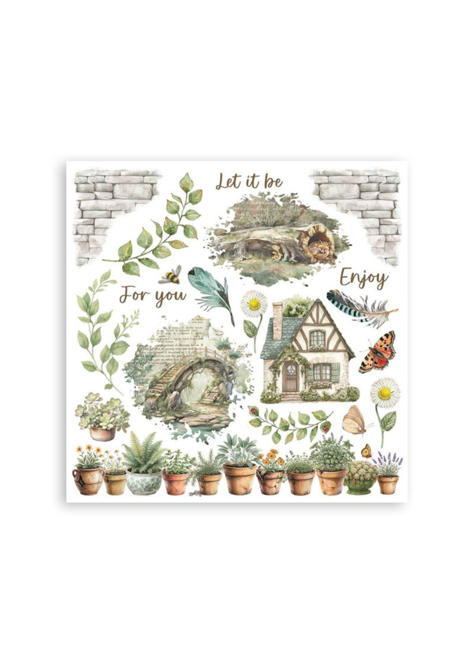 Stamperia Stamperia Rub On Kit, DFLRBX02 Herbarium Silvae