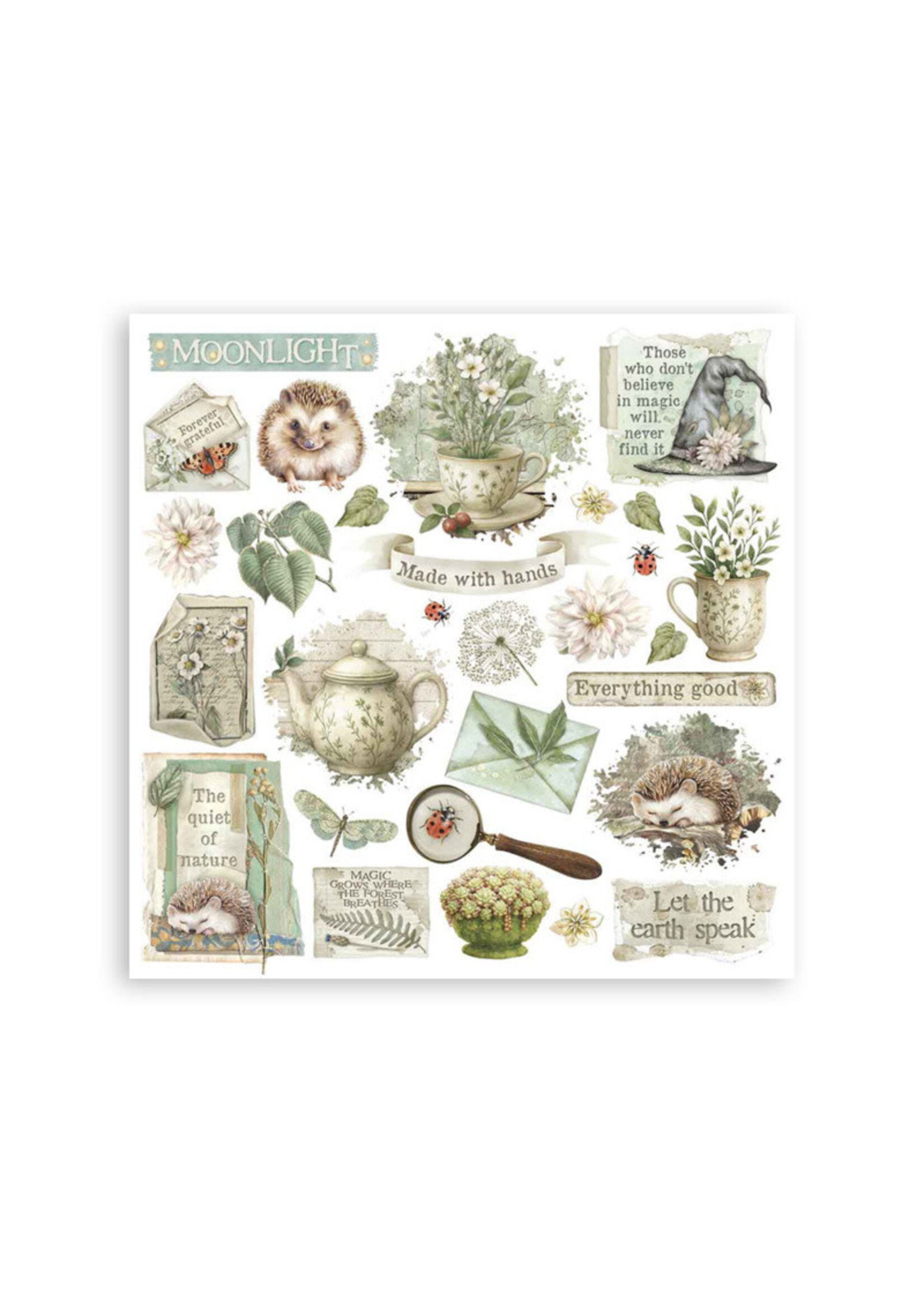 Stamperia Stamperia Rub On Kit, DFLRBX02 Herbarium Silvae