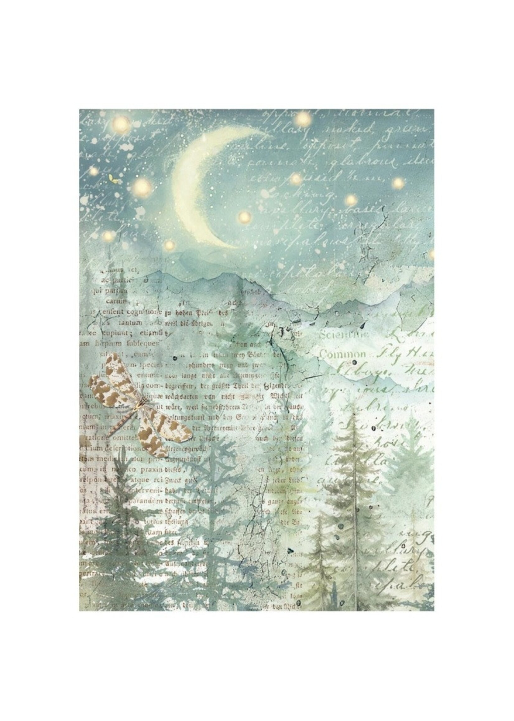 Stamperia Stamperia Mini Rice Paper, DFSA6X02 Herbarium Silvae