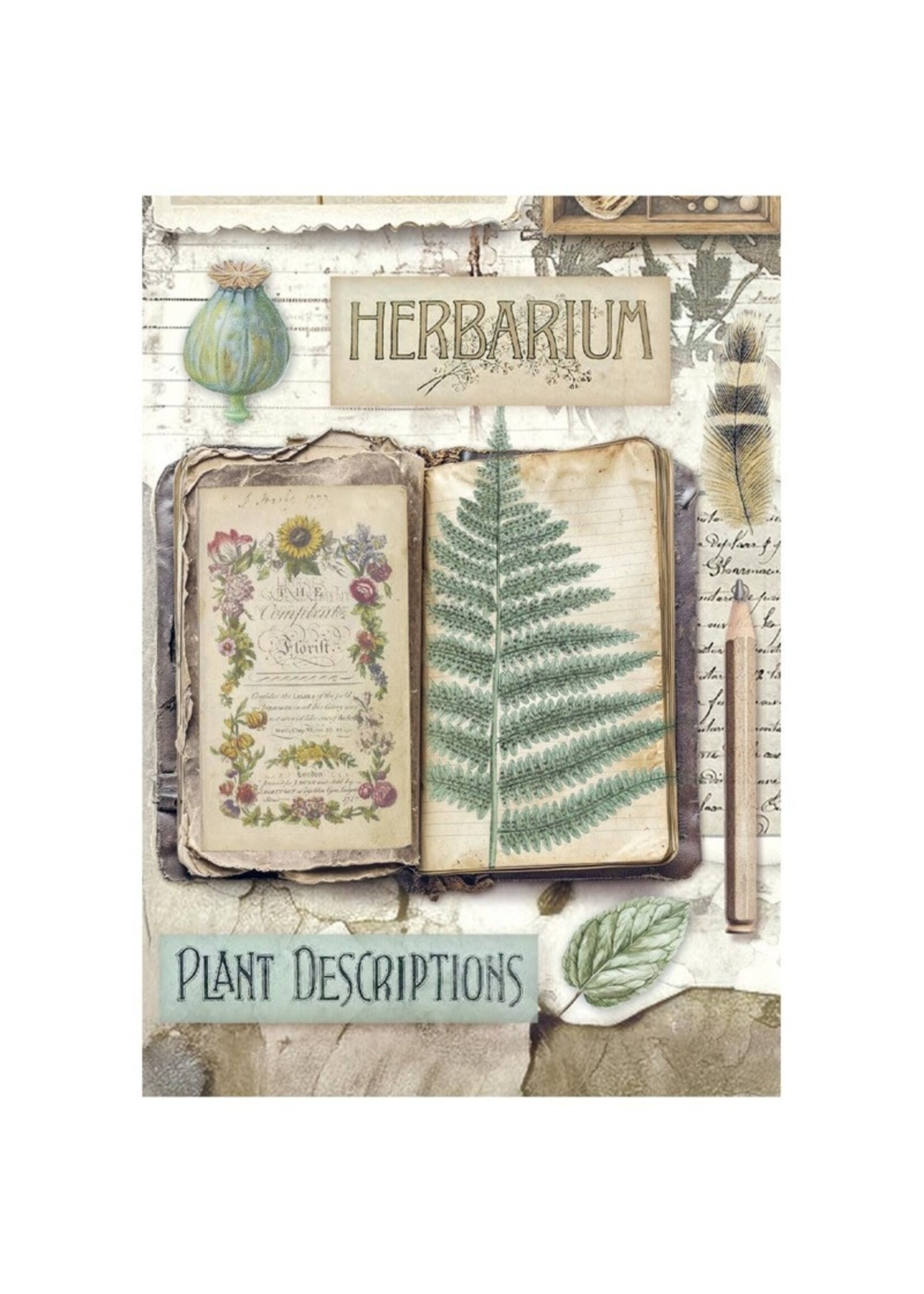 Stamperia Stamperia Mini Rice Paper, DFSA6X02 Herbarium Silvae