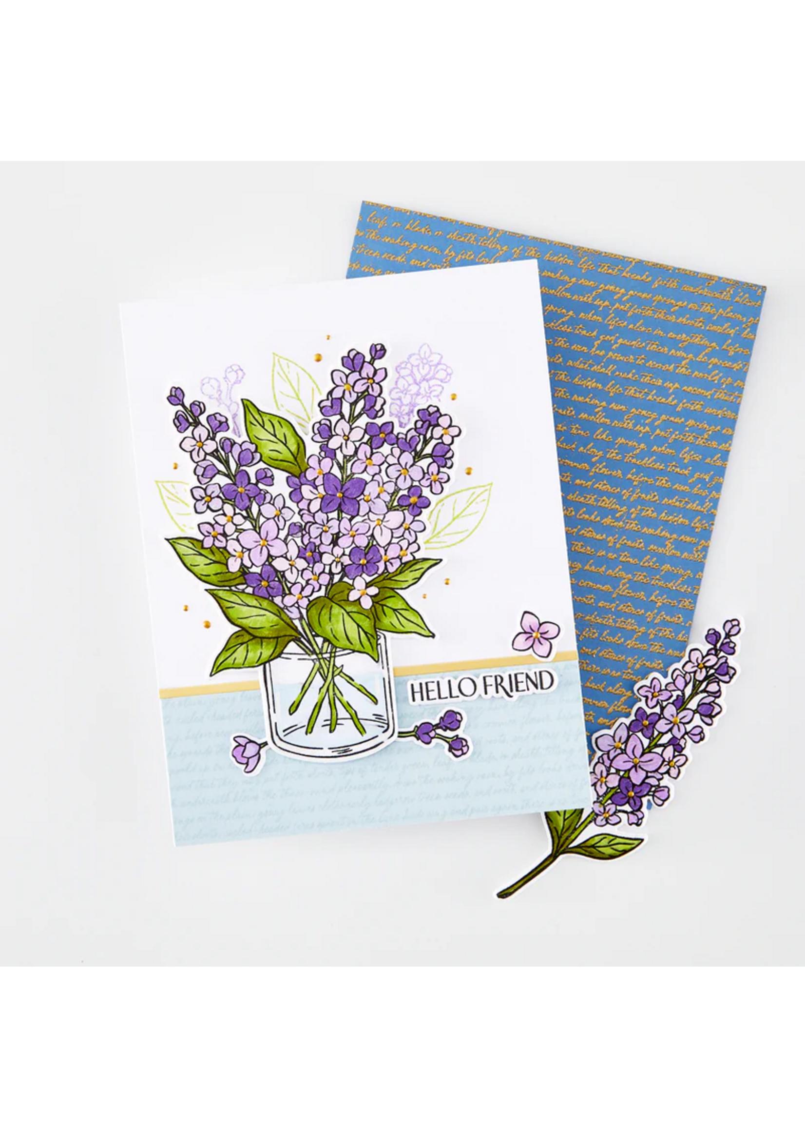 Hero  Arts Hero Arts Cling Stamp, CG949 Birdsong Script